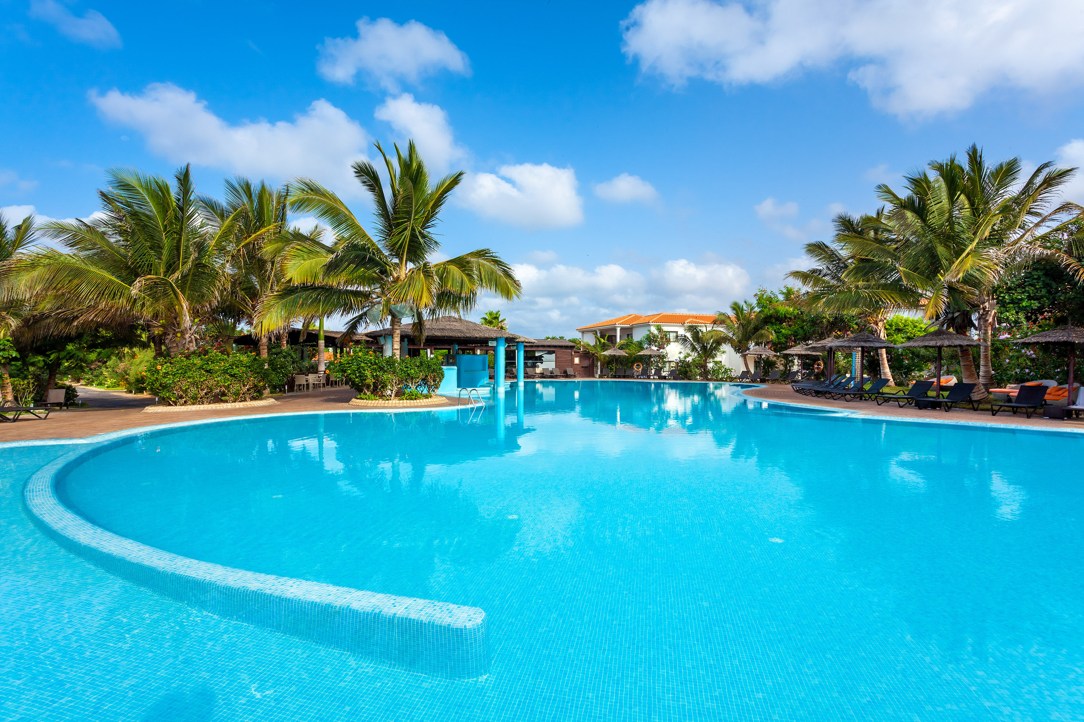 a pool with palm trees and blue sky