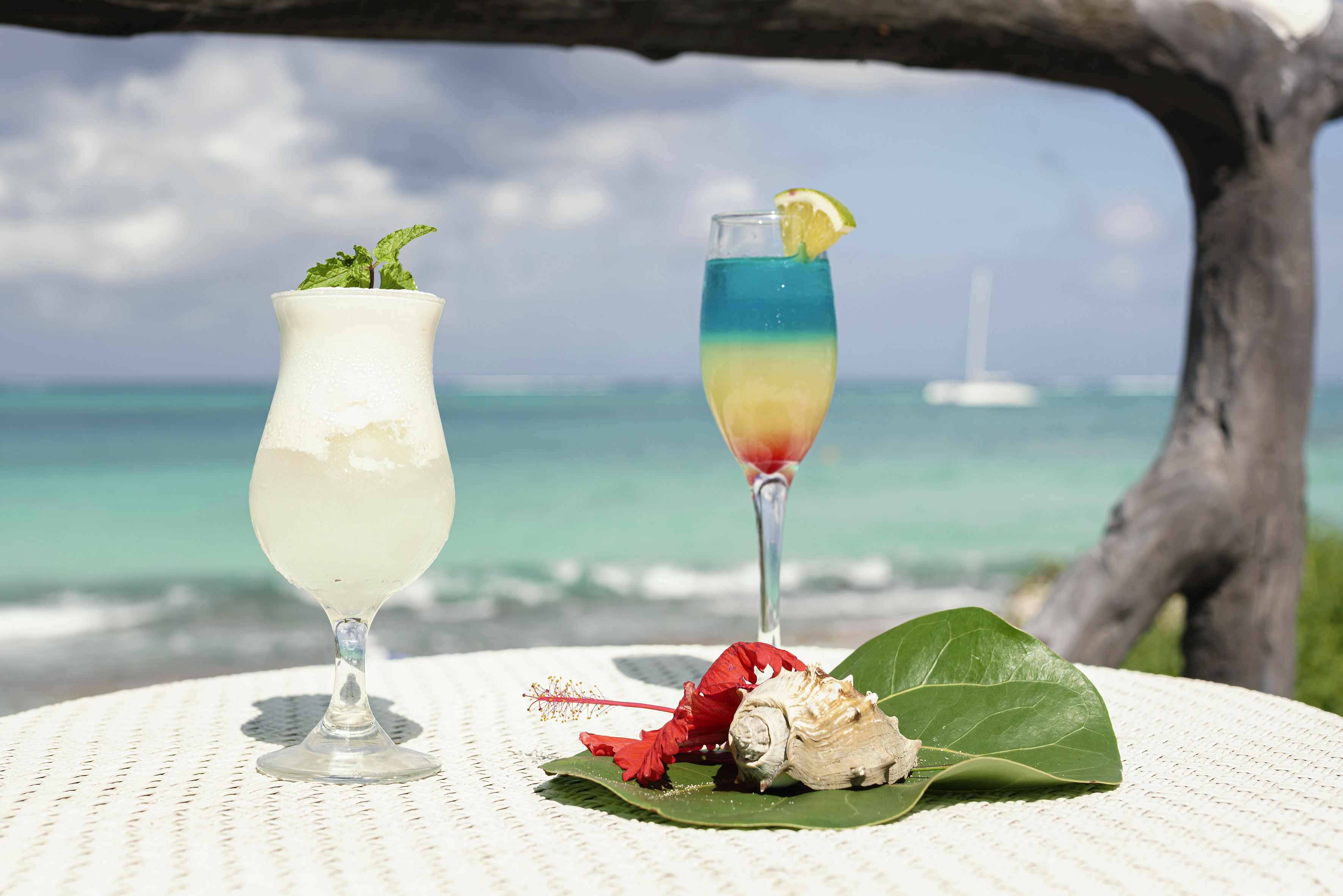 two glasses of drinks on a table