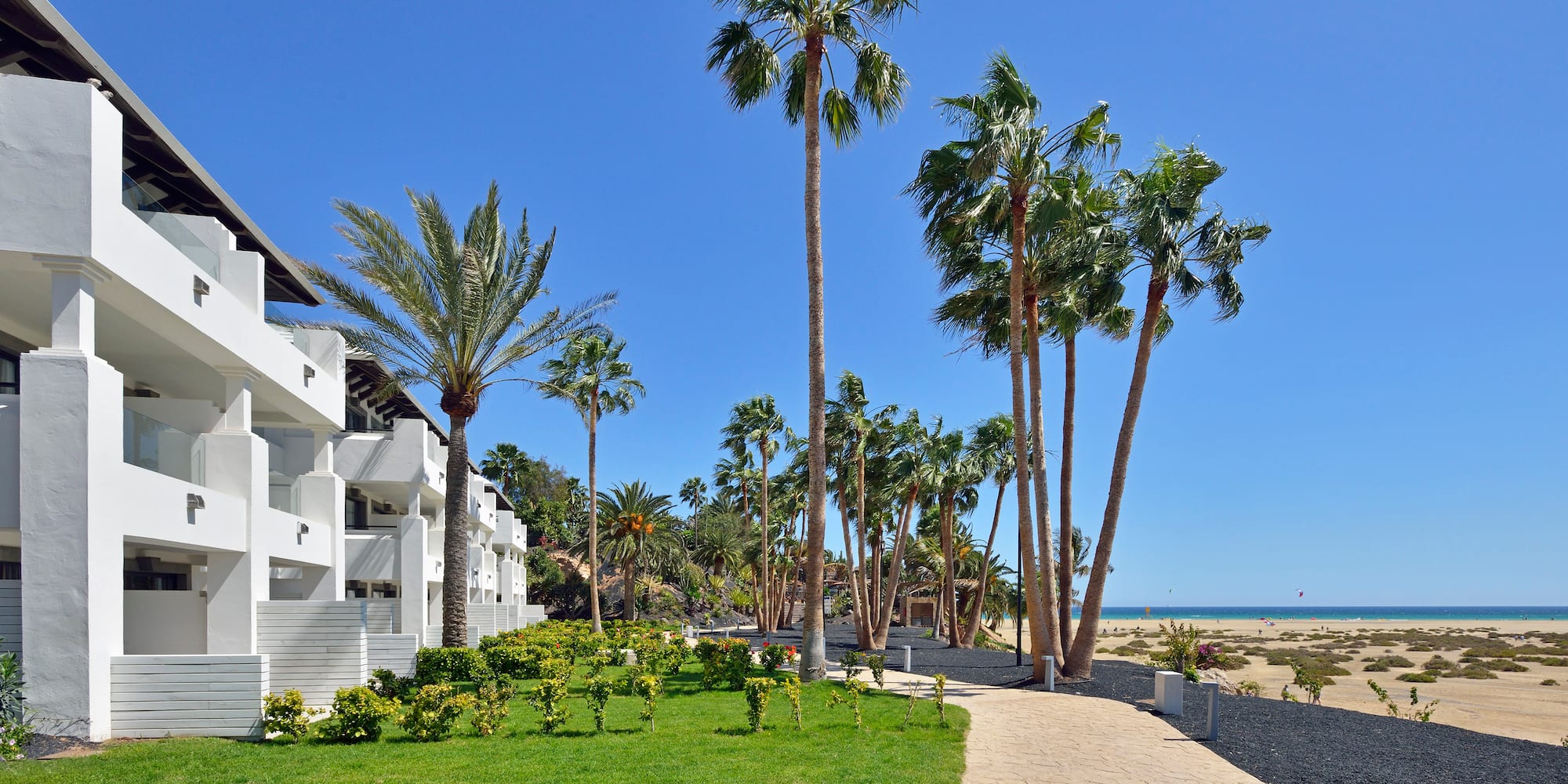 a walkway with palm trees and buildings on the beach