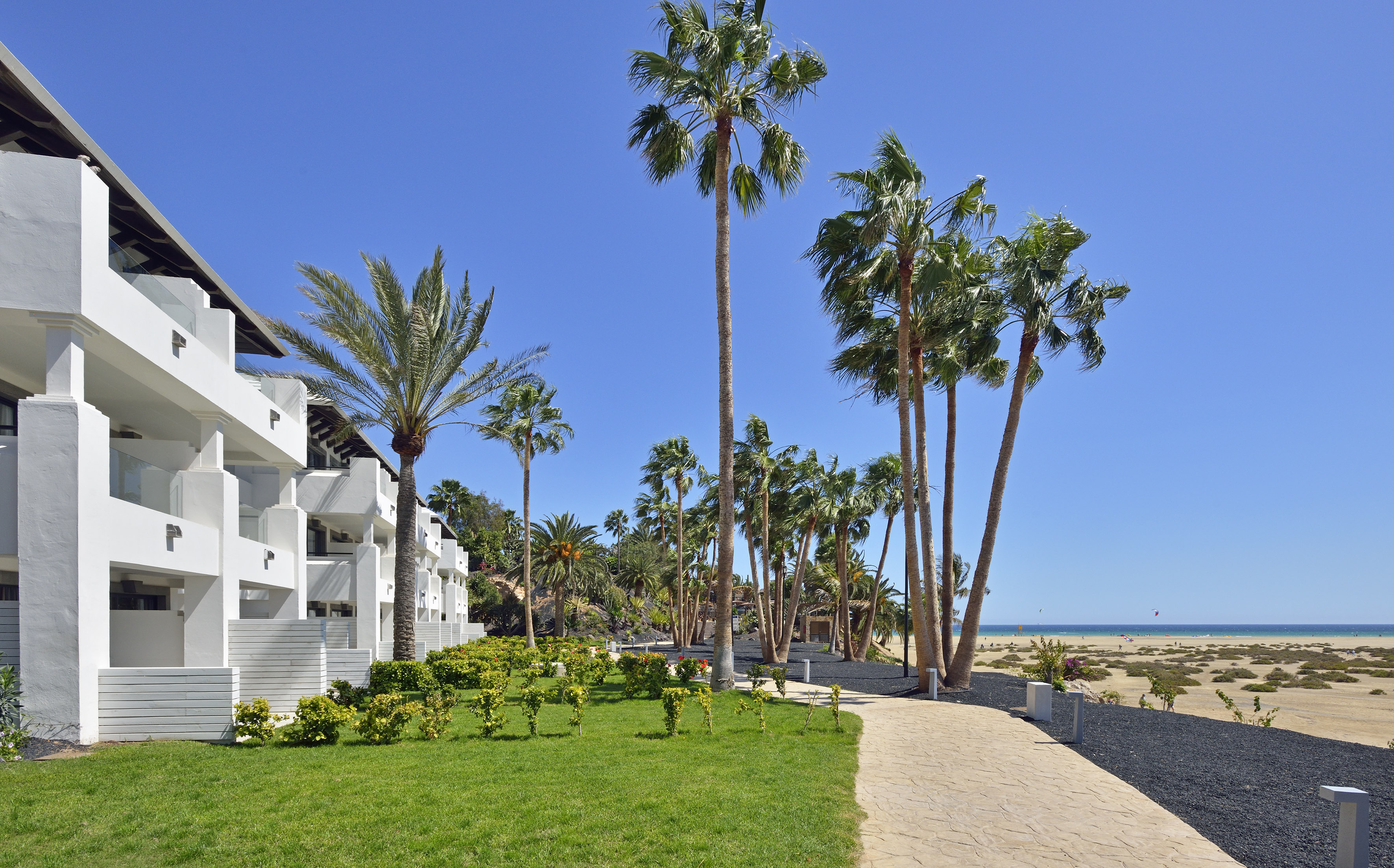 a walkway with palm trees and buildings on the beach