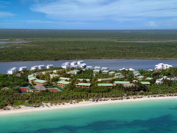 a aerial view of a beach with buildings and trees