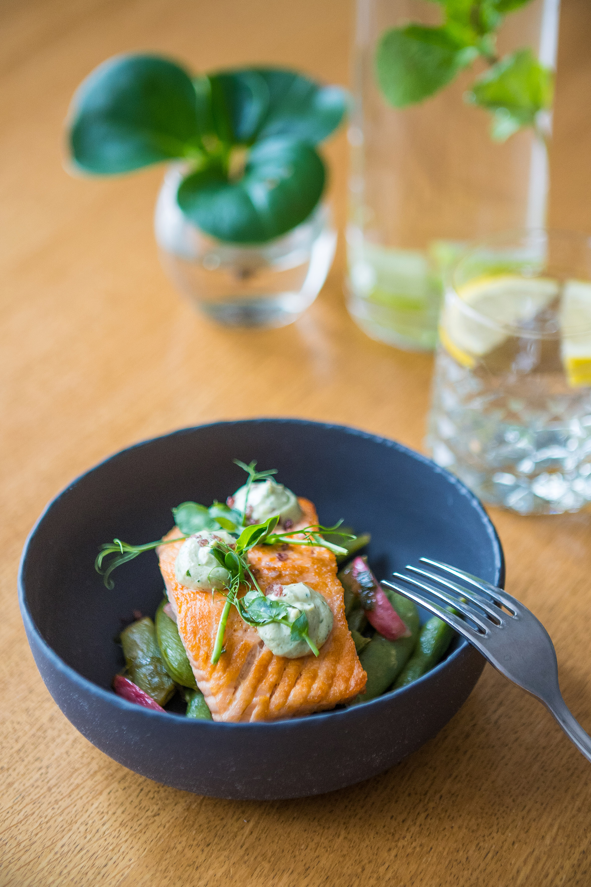 Plated salmon meal with green sauce, microgreens, and vegetables.