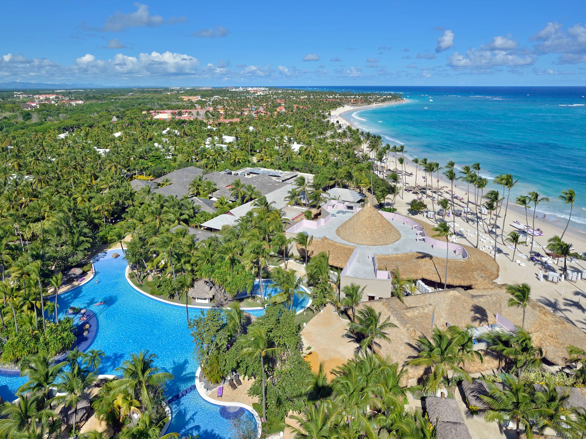a swimming pool surrounded by palm trees and a beach