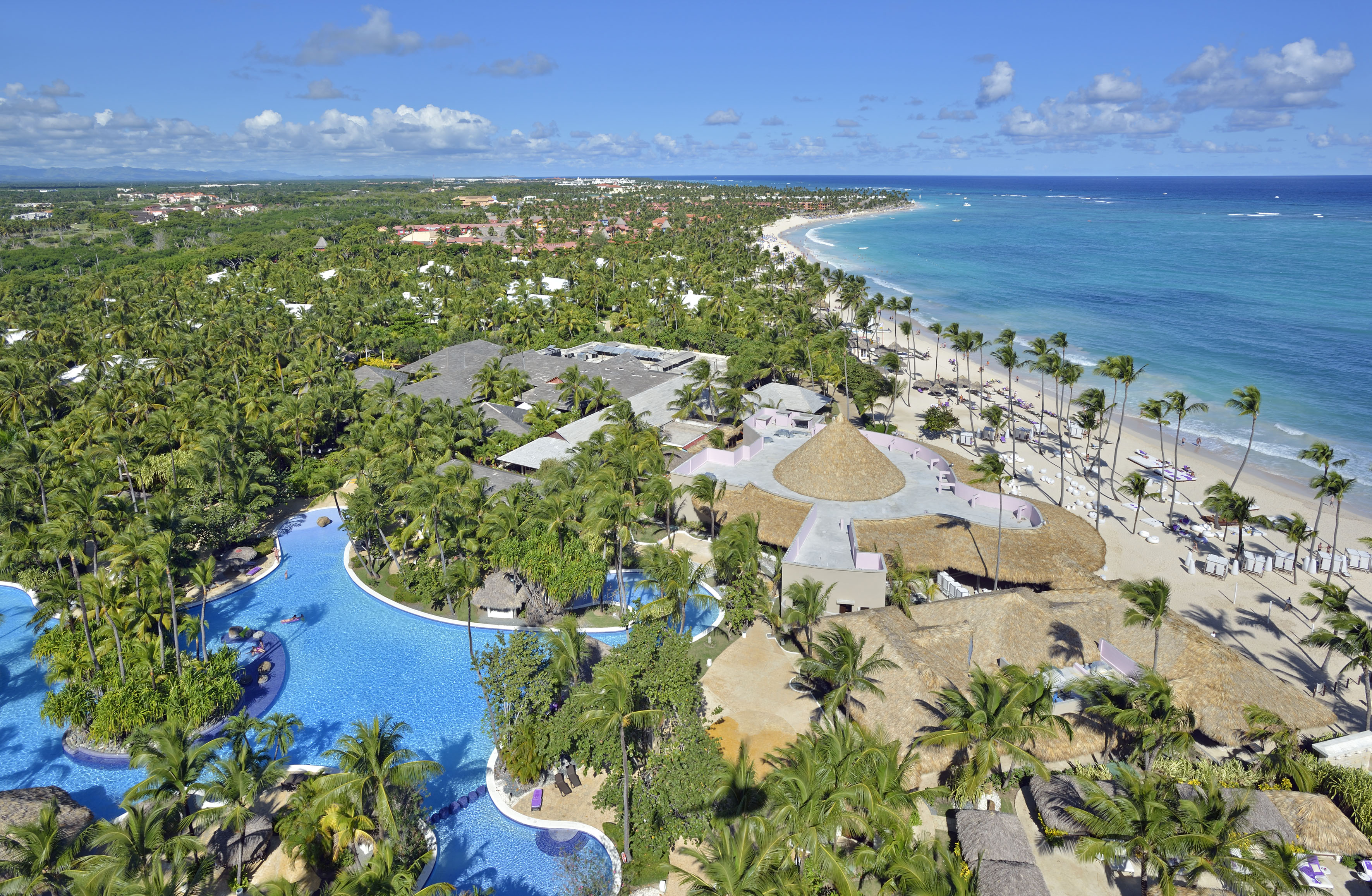 a swimming pool surrounded by palm trees and a beach