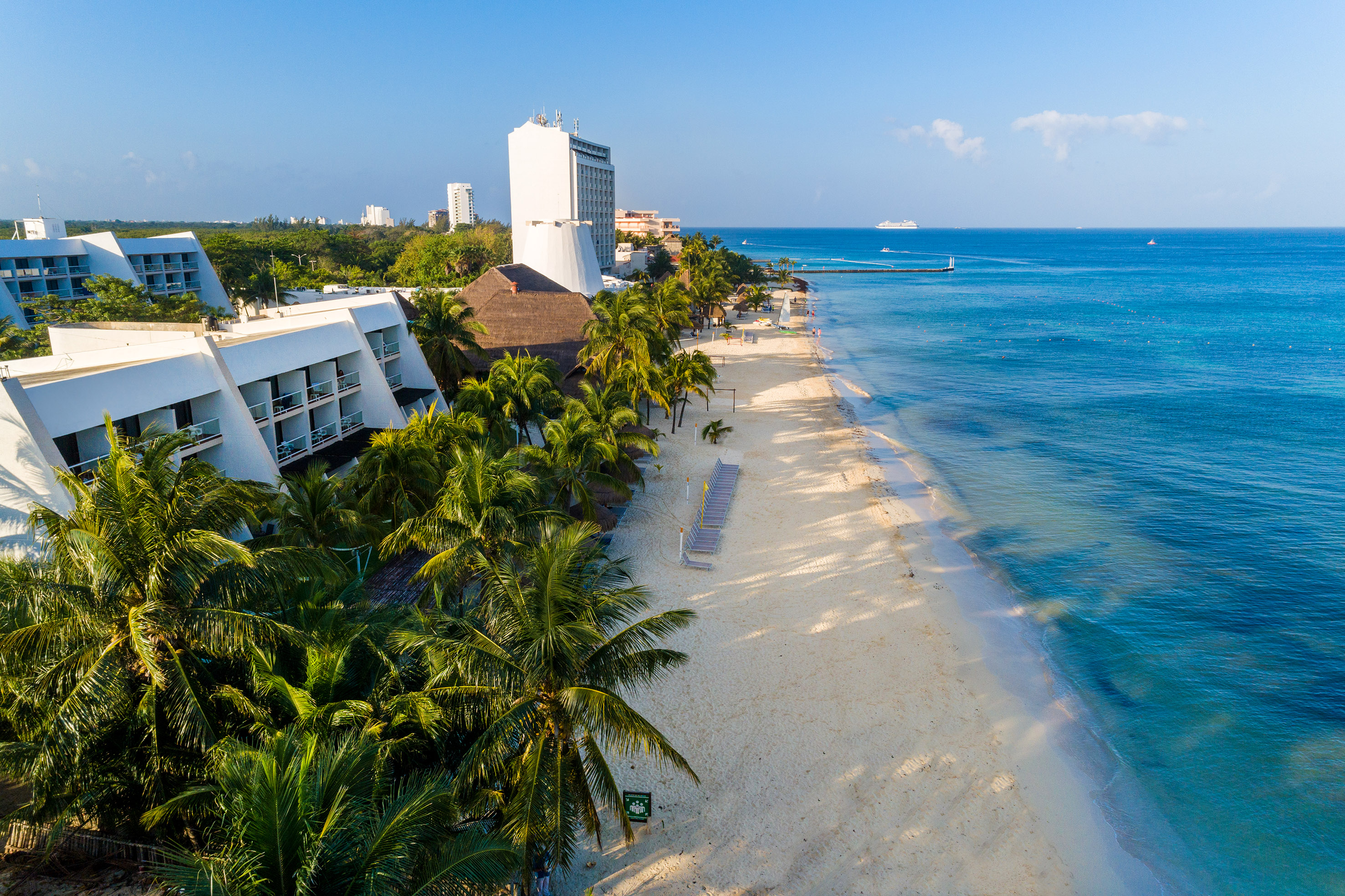 a beach with palm trees and buildings