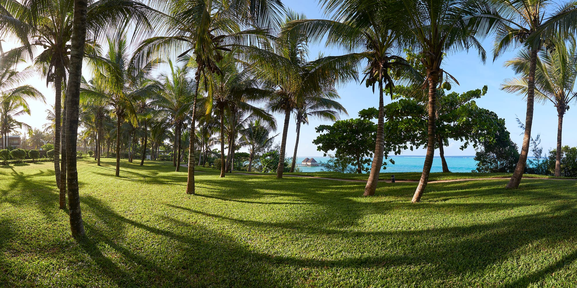 a grass field with palm trees and a body of water in the background
