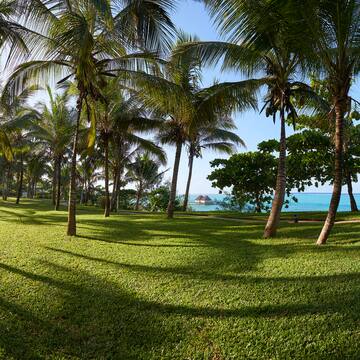 a grass field with palm trees and a body of water in the background