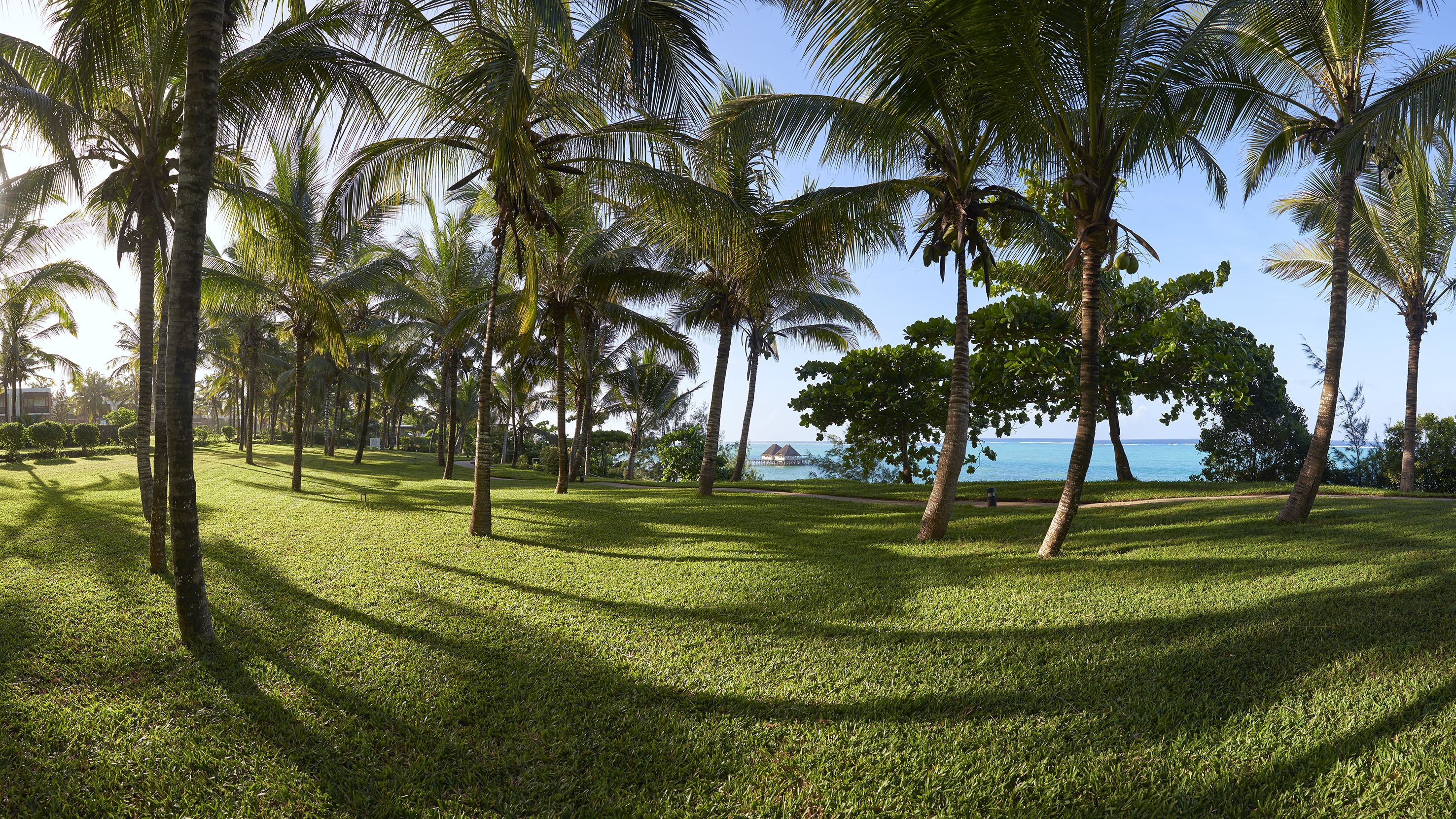 a grass field with palm trees and a body of water in the background
