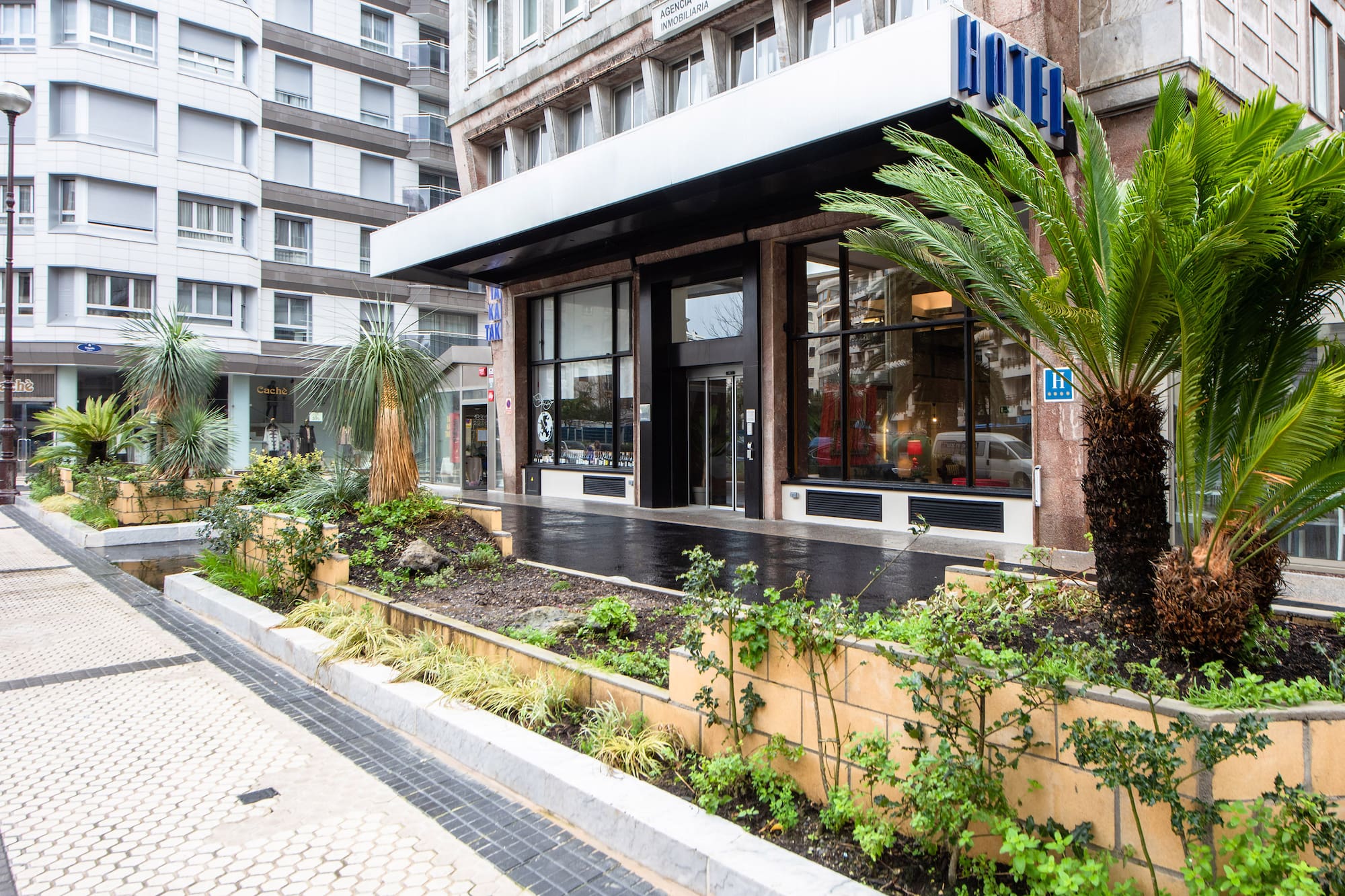 City hotel entrance with palm trees, contemporary facade, and street landscaping.