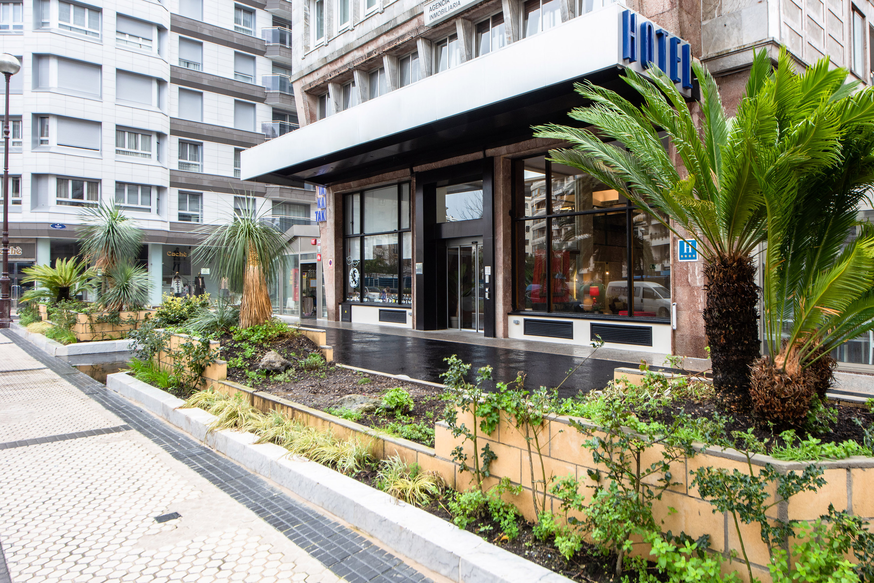 City hotel entrance with palm trees, contemporary facade, and street landscaping.