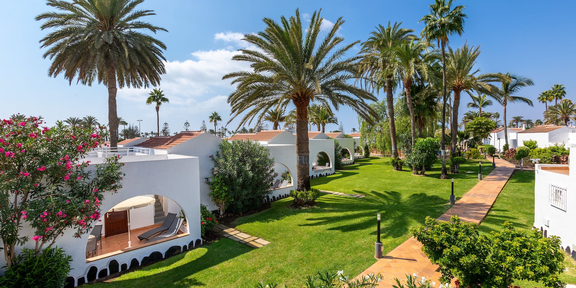 a group of palm trees and buildings