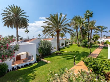a group of palm trees and buildings