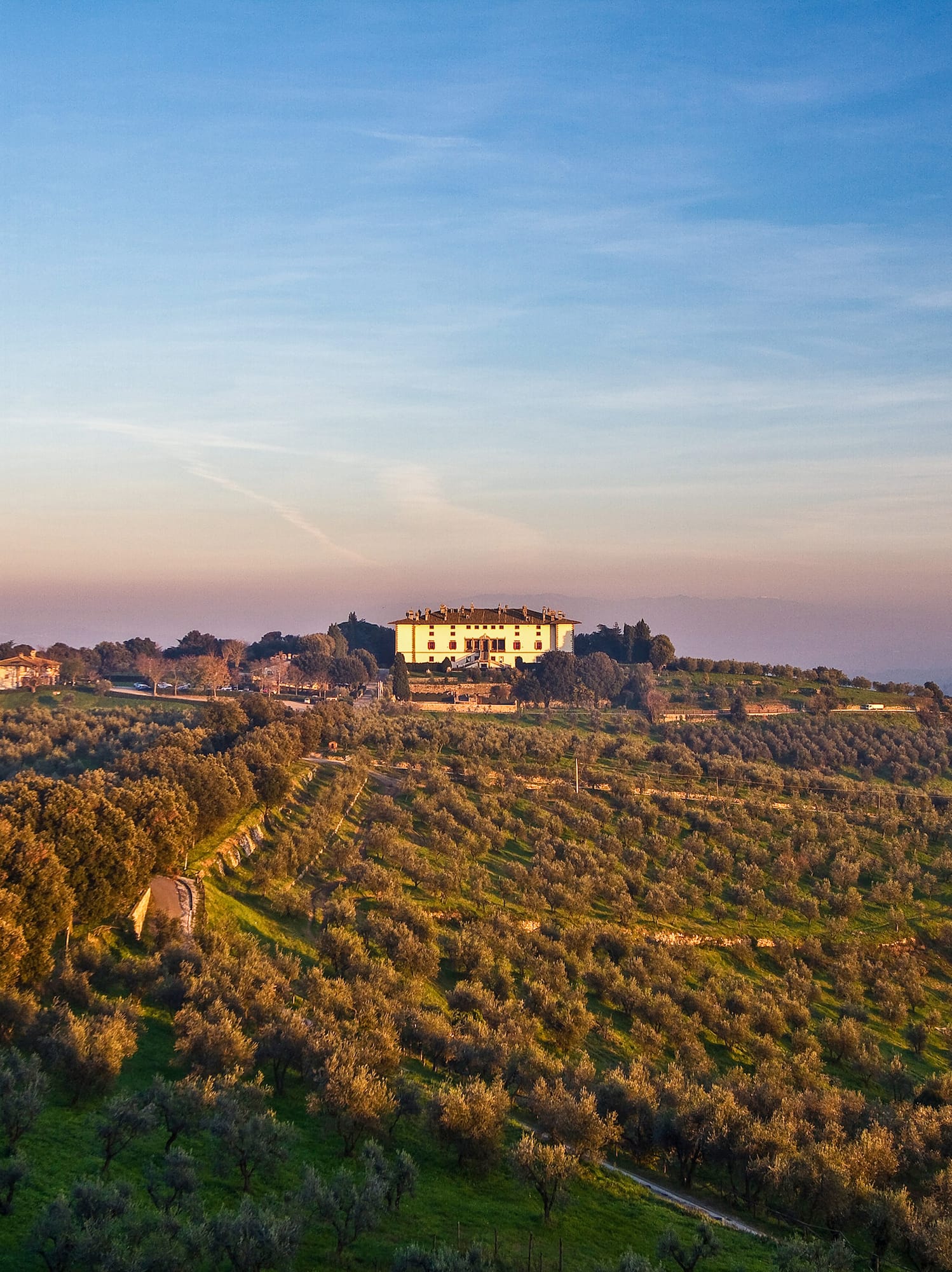 a large building in a field of trees