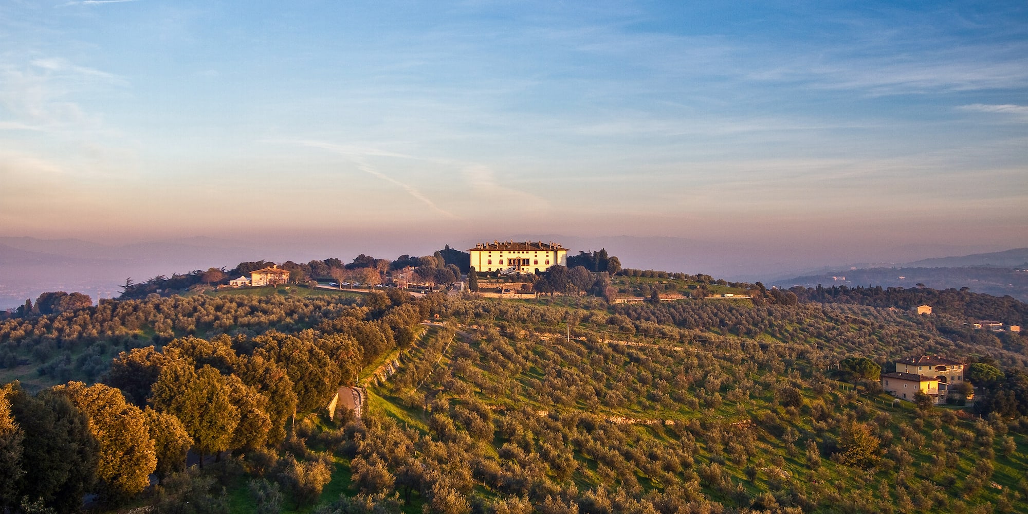 a large building in a field of trees