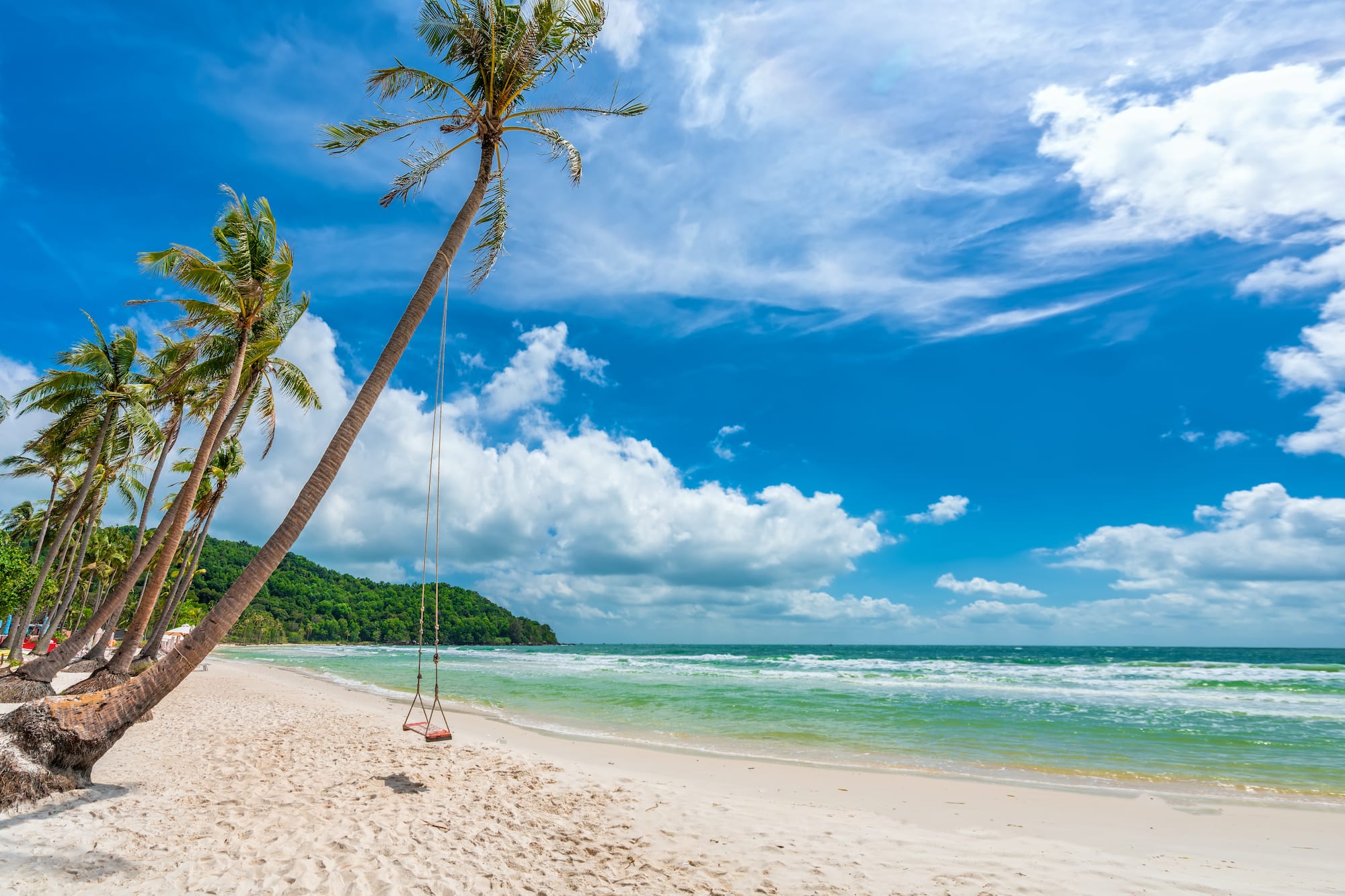 a swing on a beach