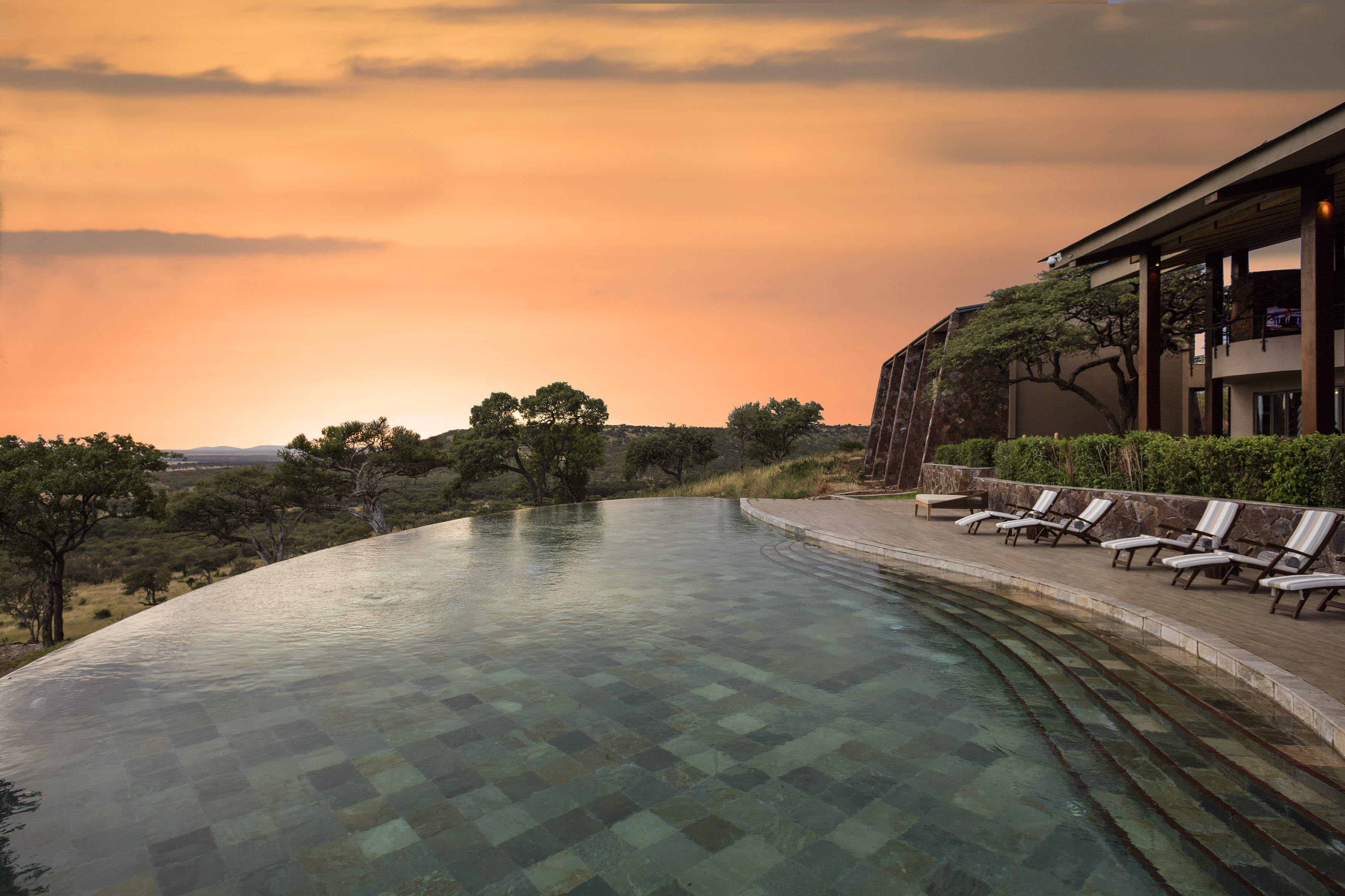 Luxury safari lodge infinity pool at sunset overlooking African savanna.
