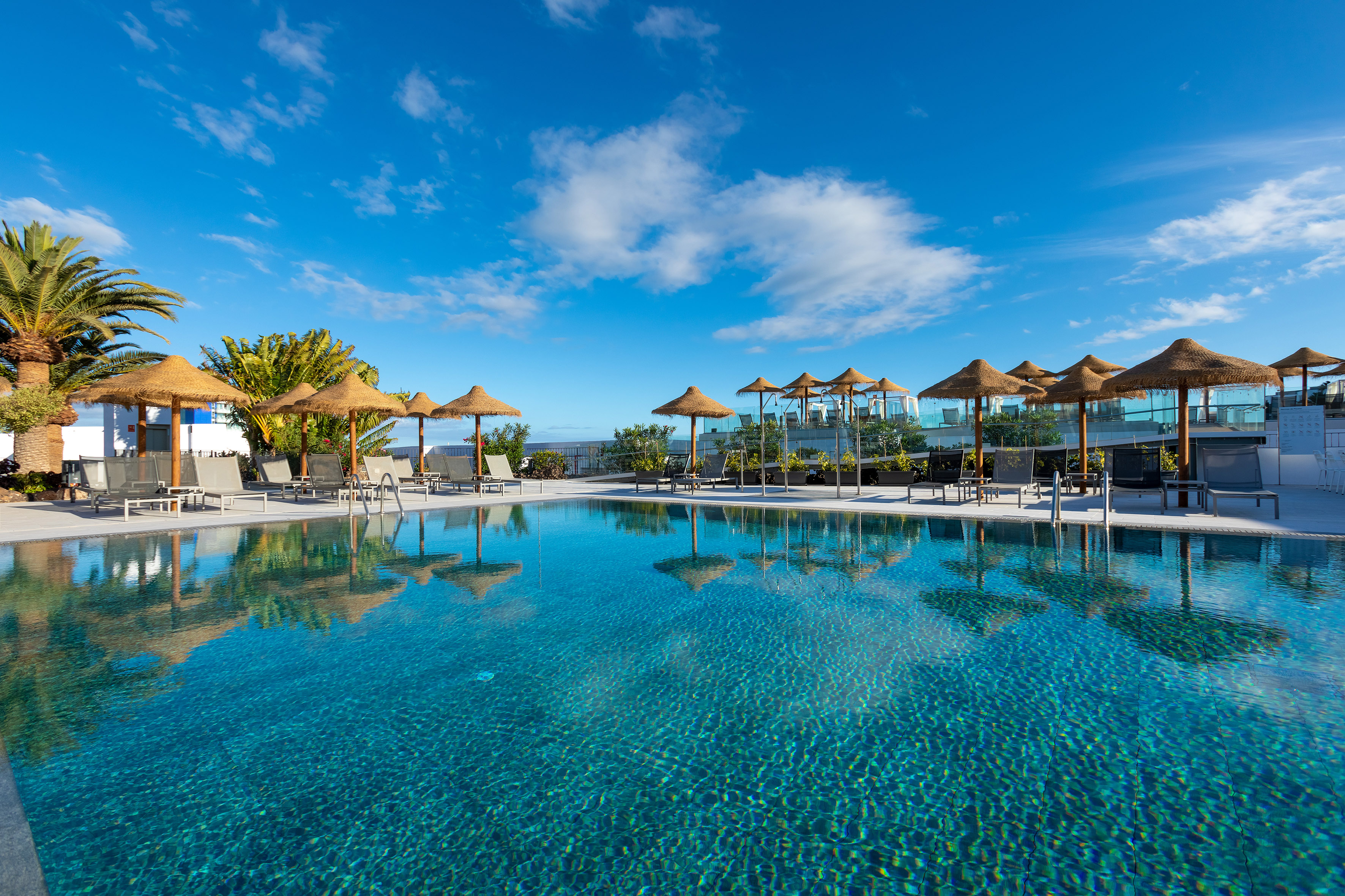 Spacious resort swimming pool with palm trees, sun loungers, and thatched parasols.