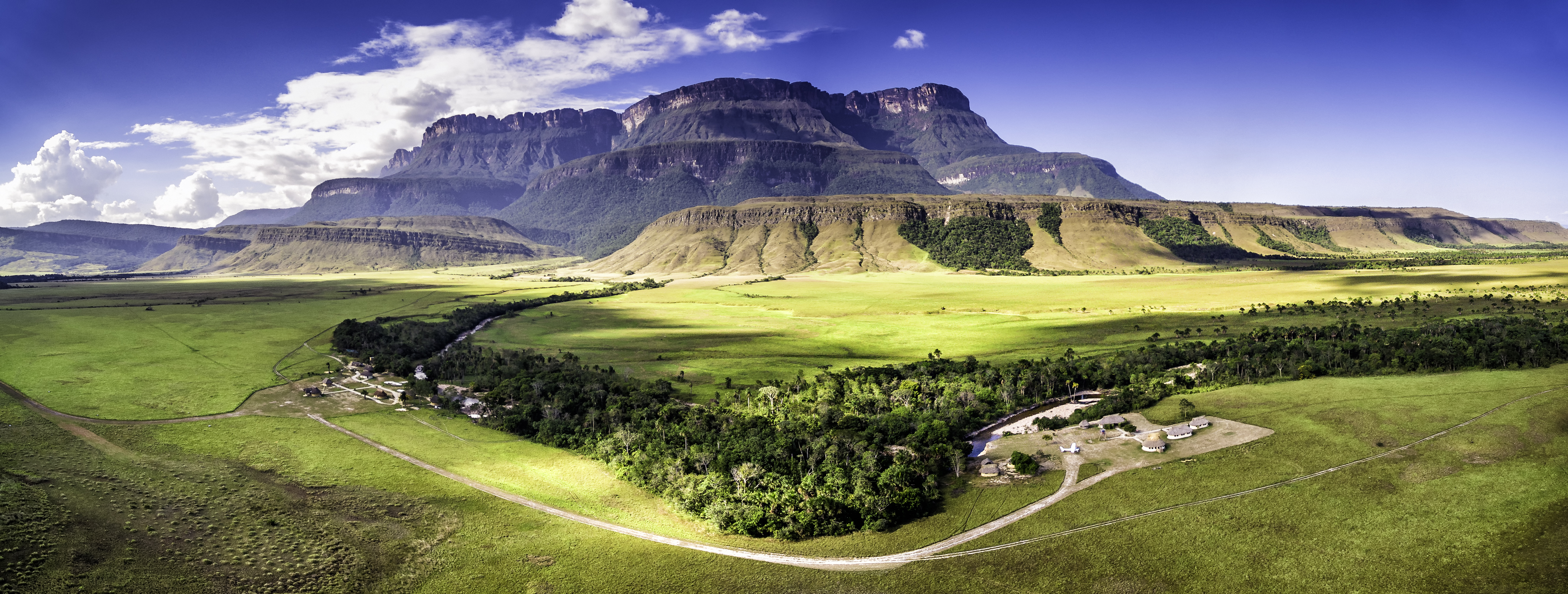 a green field with trees and mountains in the background with Drakensberg in the background