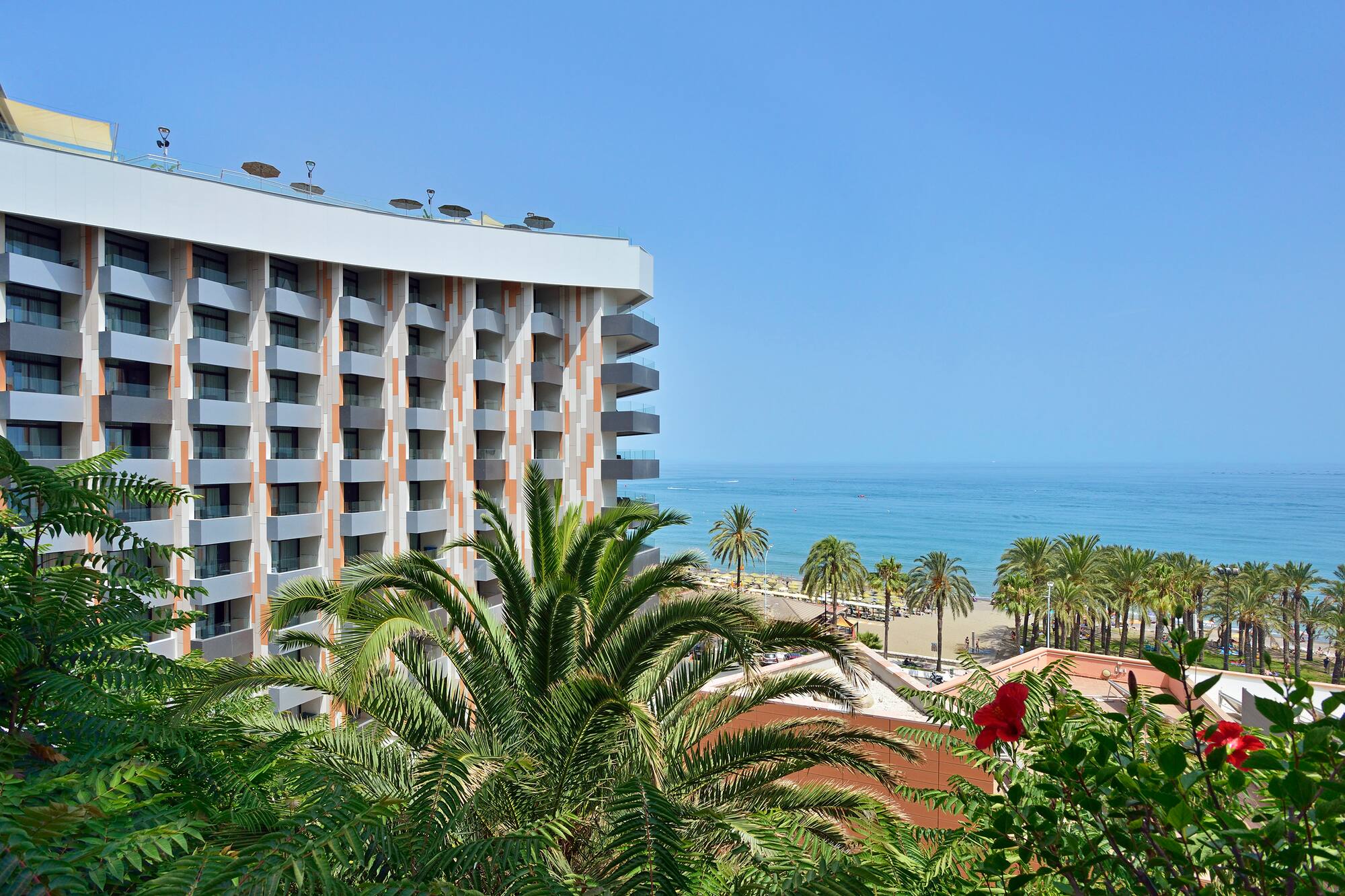 Modern hotel resort facing a sunny beach with palm trees and clear blue ocean.
