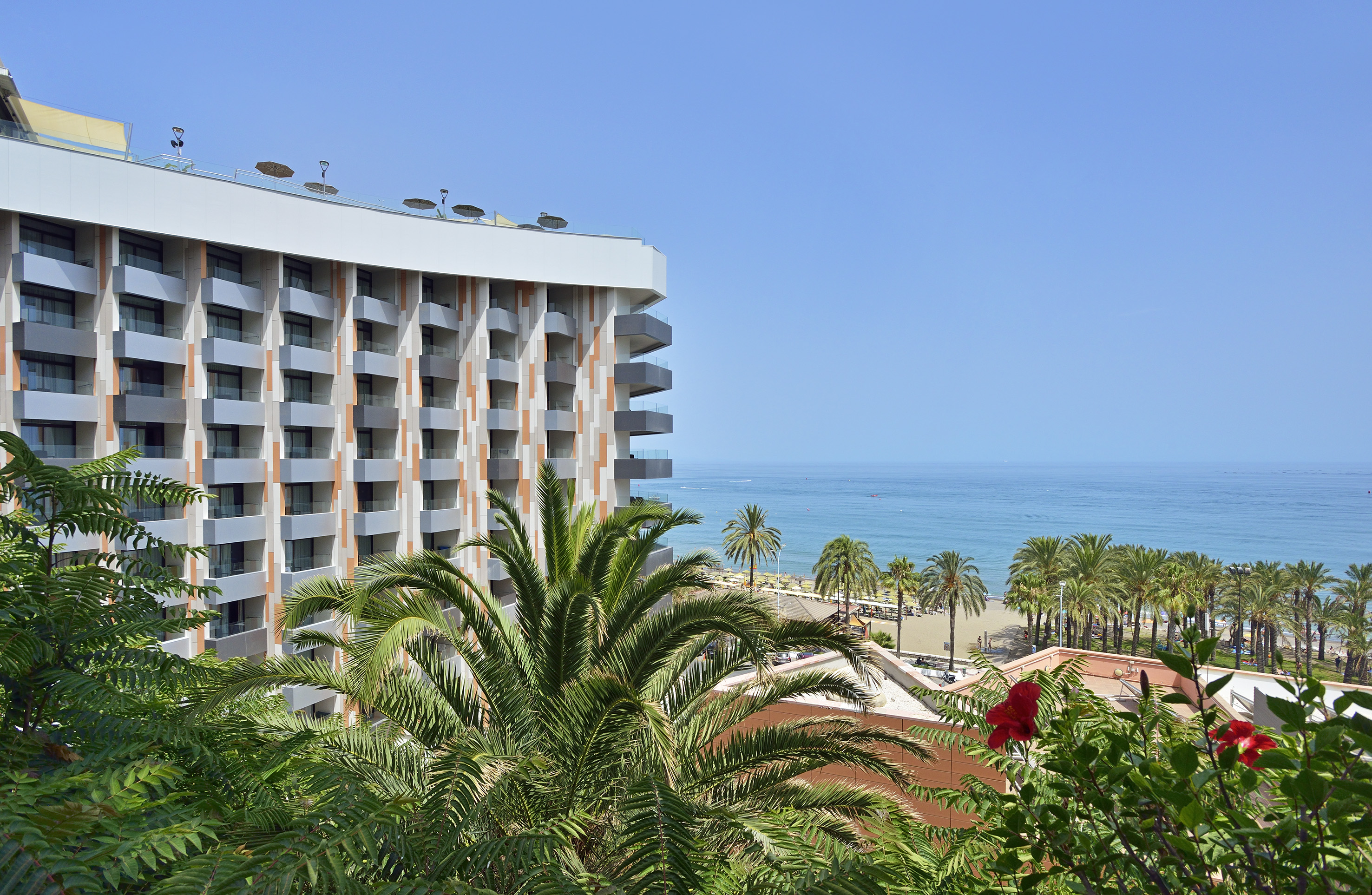 Modern hotel resort facing a sunny beach with palm trees and clear blue ocean.