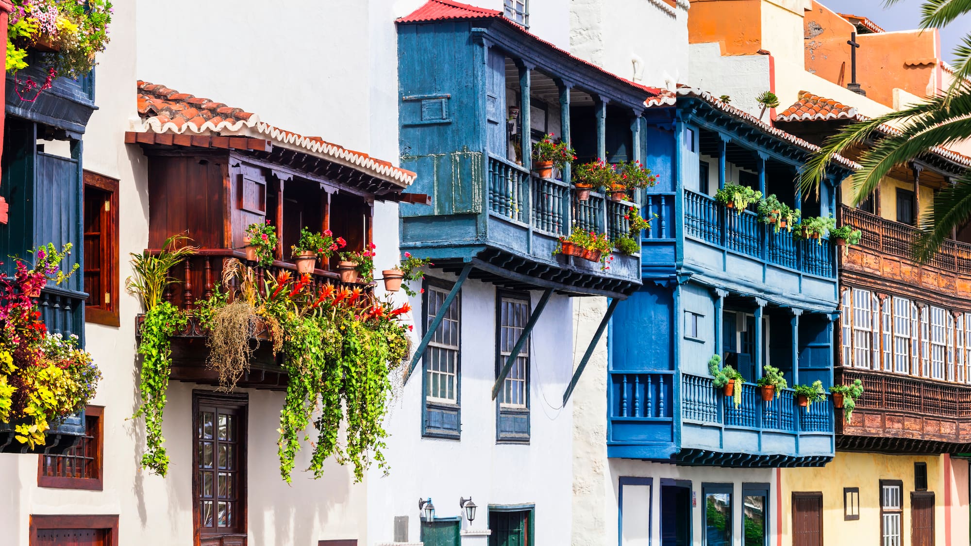 a row of colorful buildings with plants on balconies