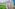 a city with trees and buildings