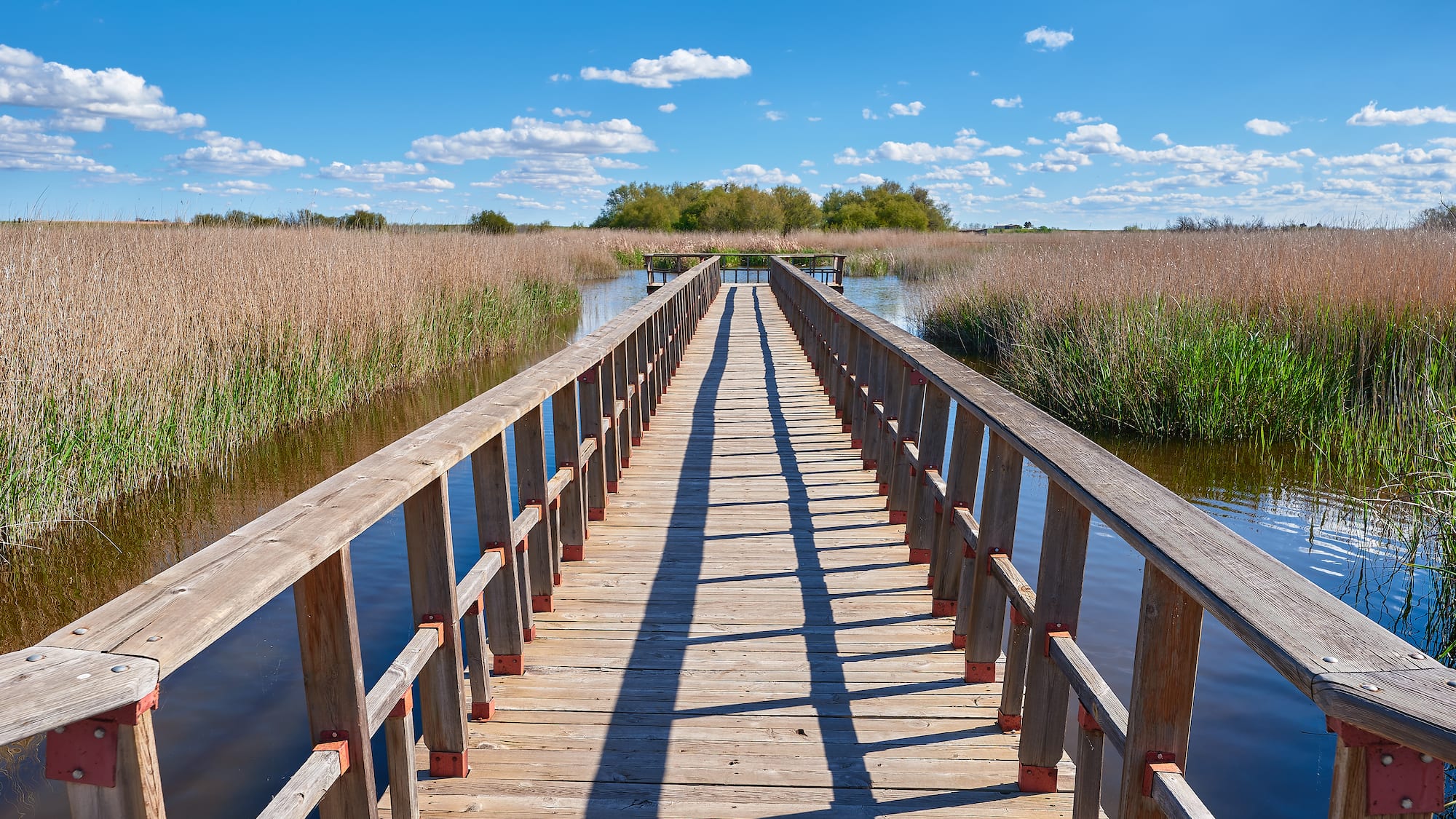 a wooden bridge over water