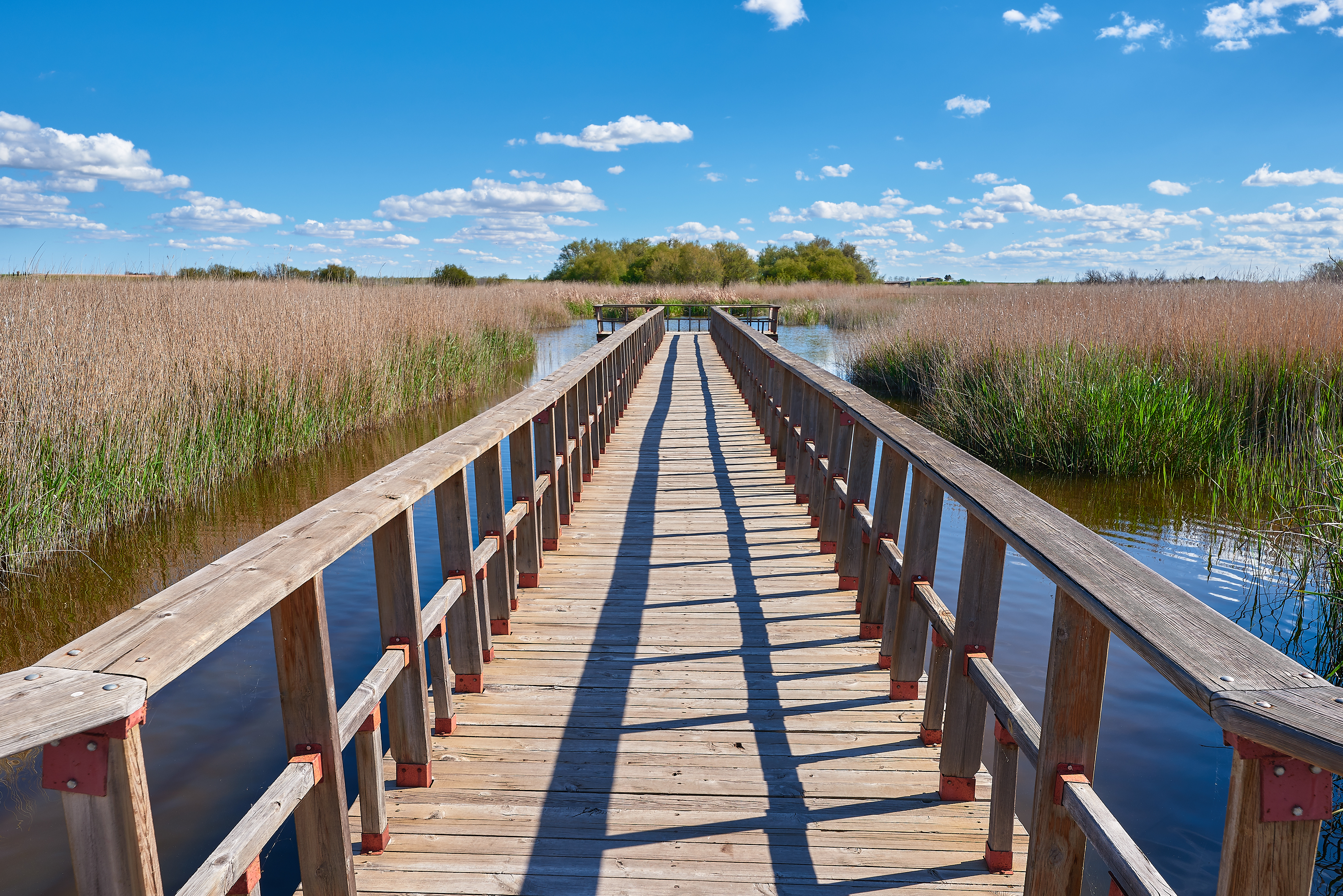 a wooden bridge over water