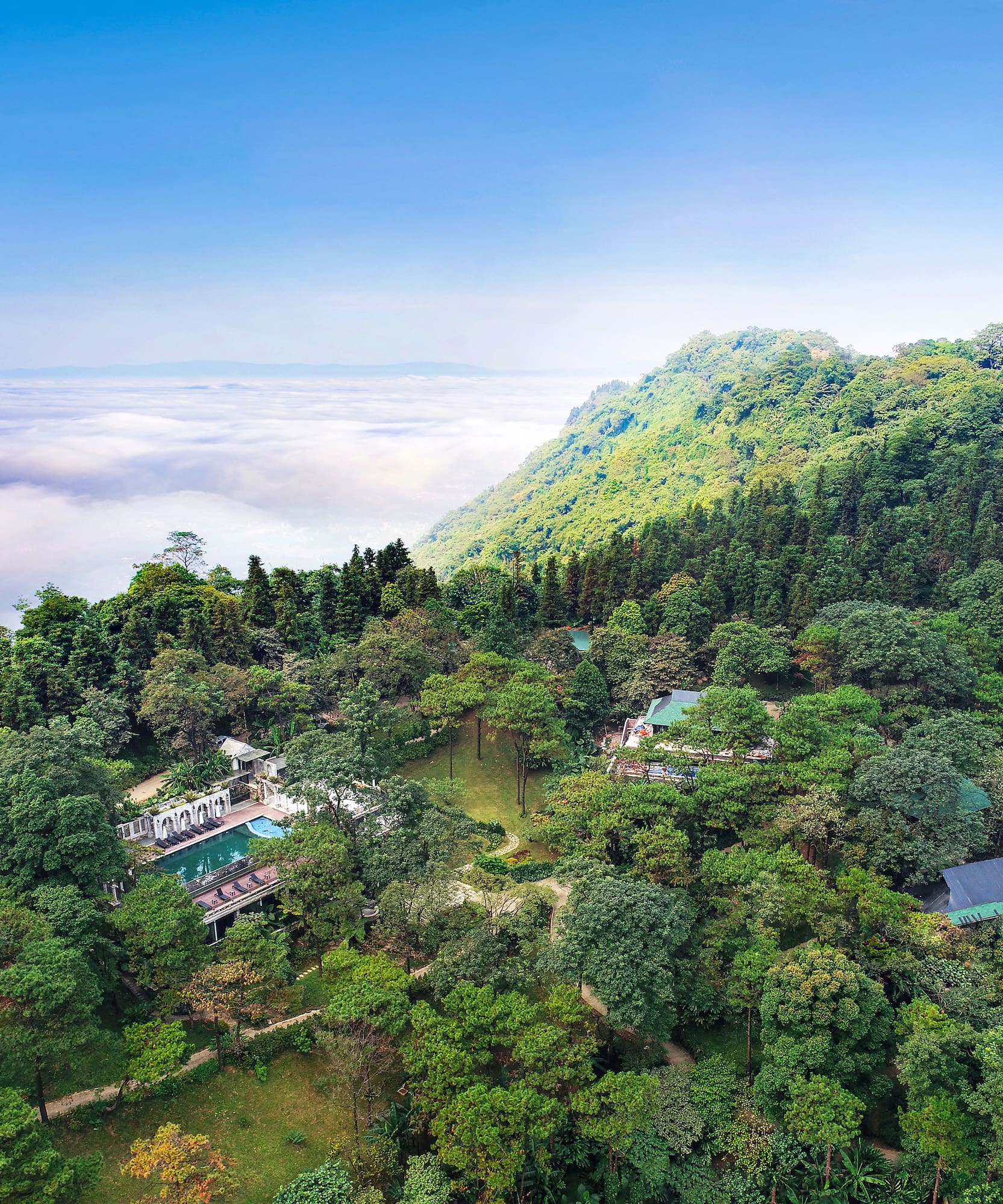 a aerial view of a forest with a pool and a building