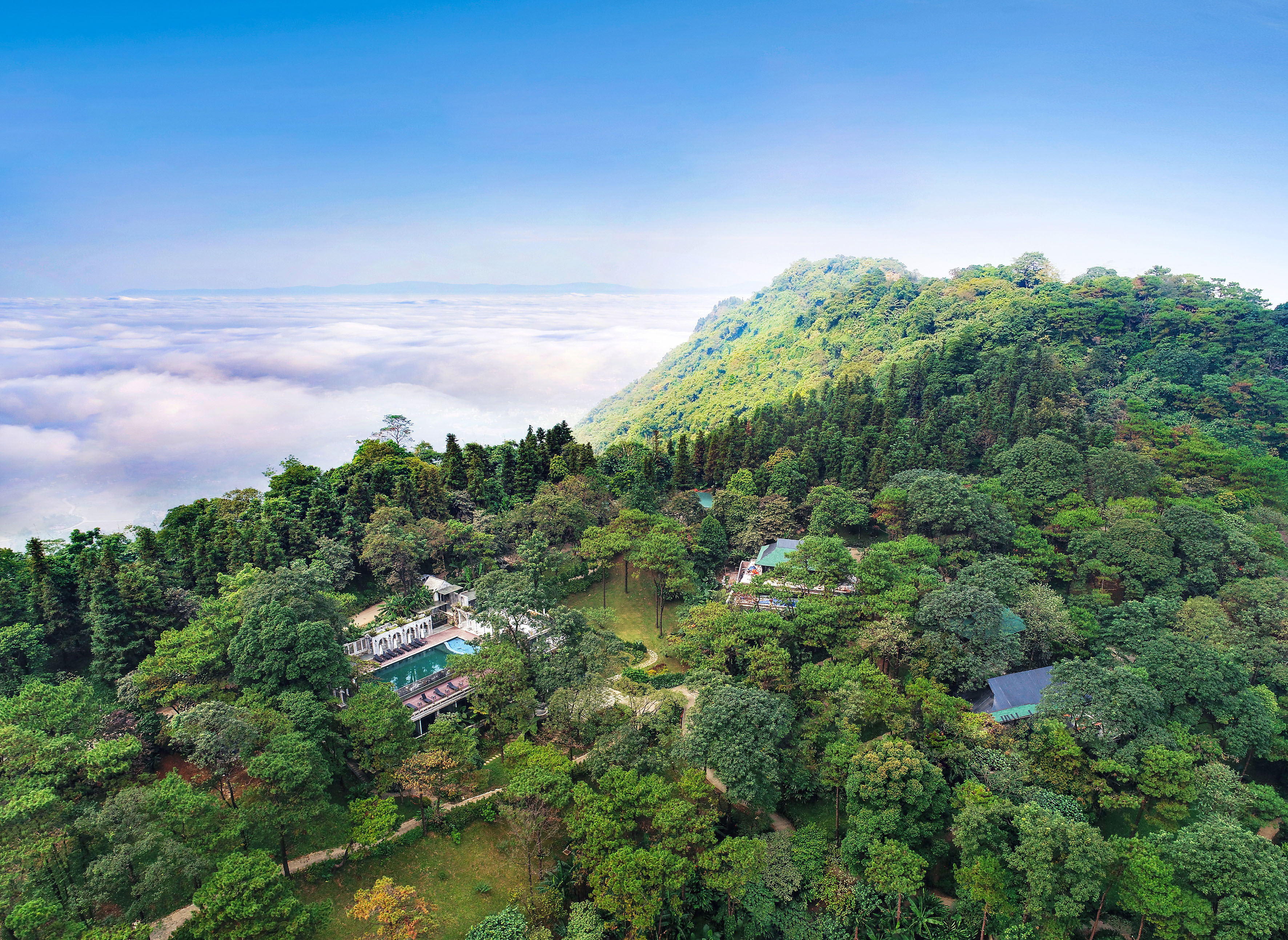 a aerial view of a forest with a pool and a building