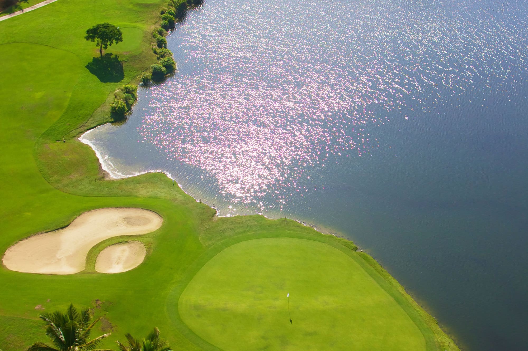 a golf course with a body of water