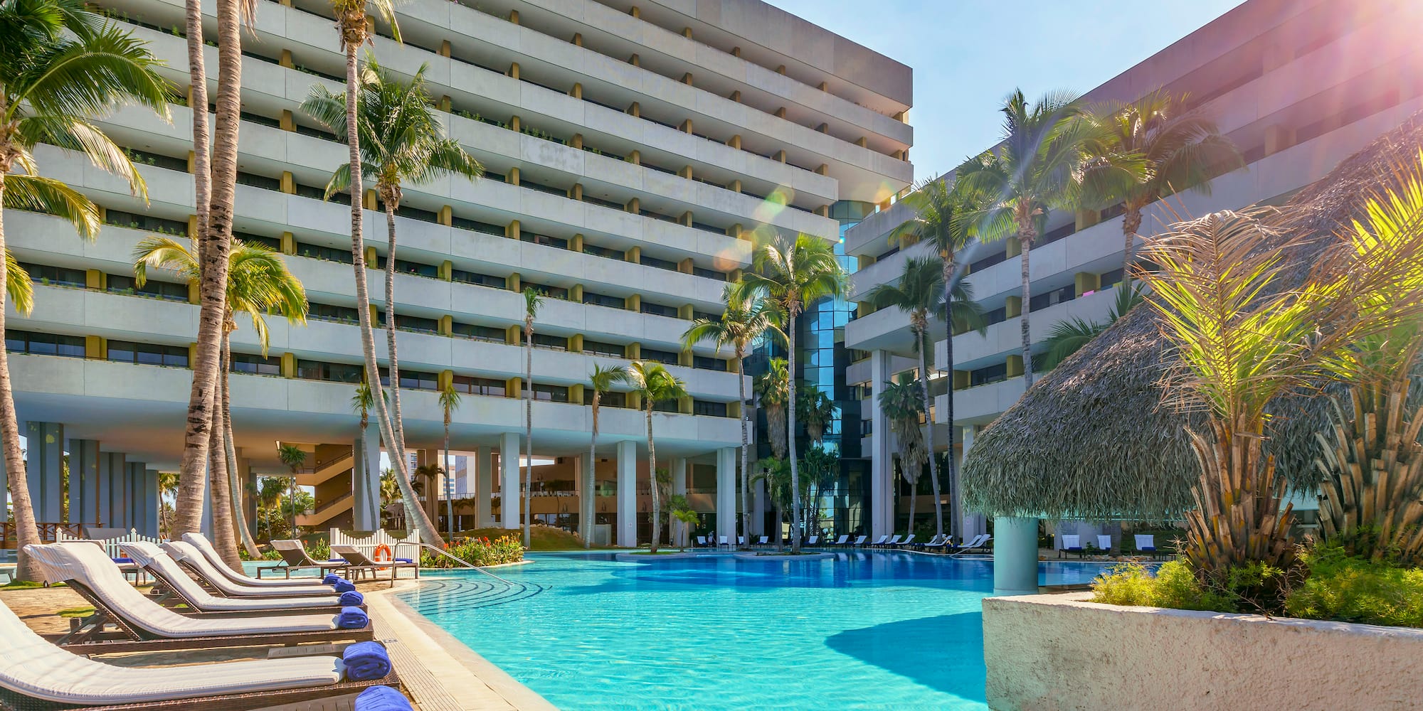a pool with palm trees and a building