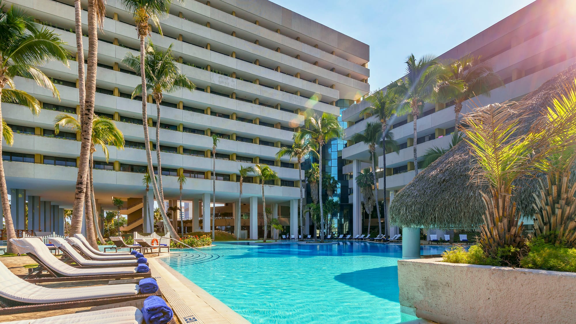 a pool with palm trees and a building