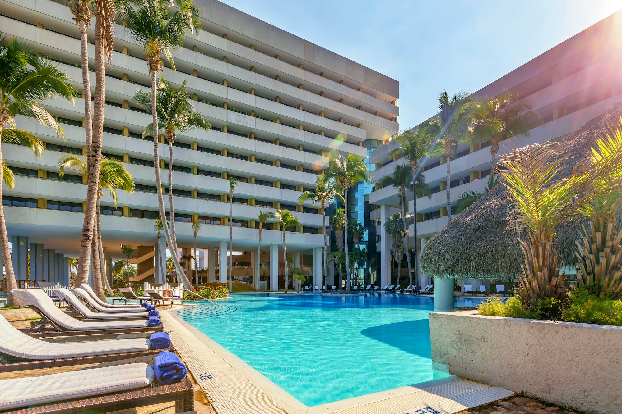 a pool with palm trees and a building
