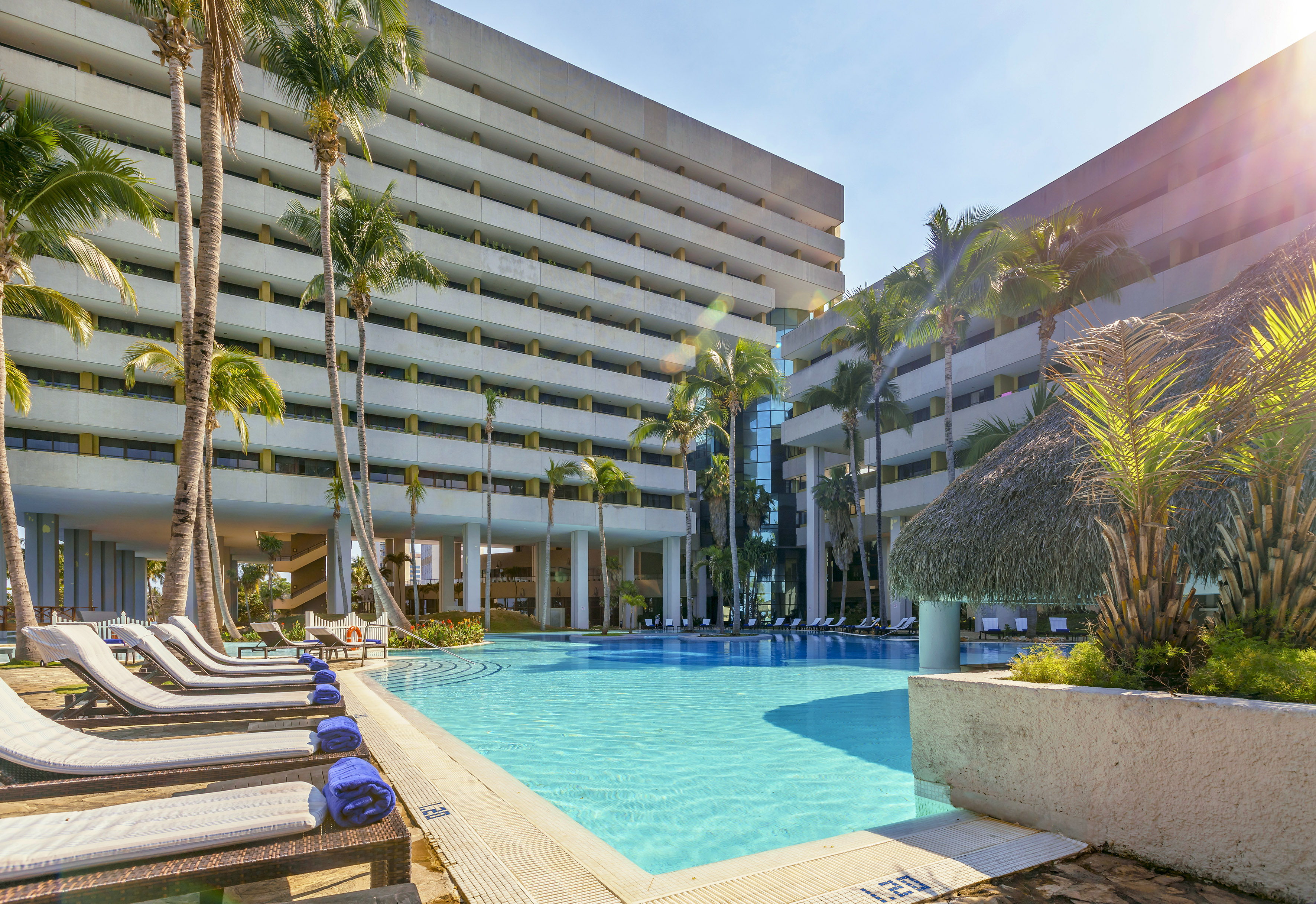 a pool with palm trees and a building