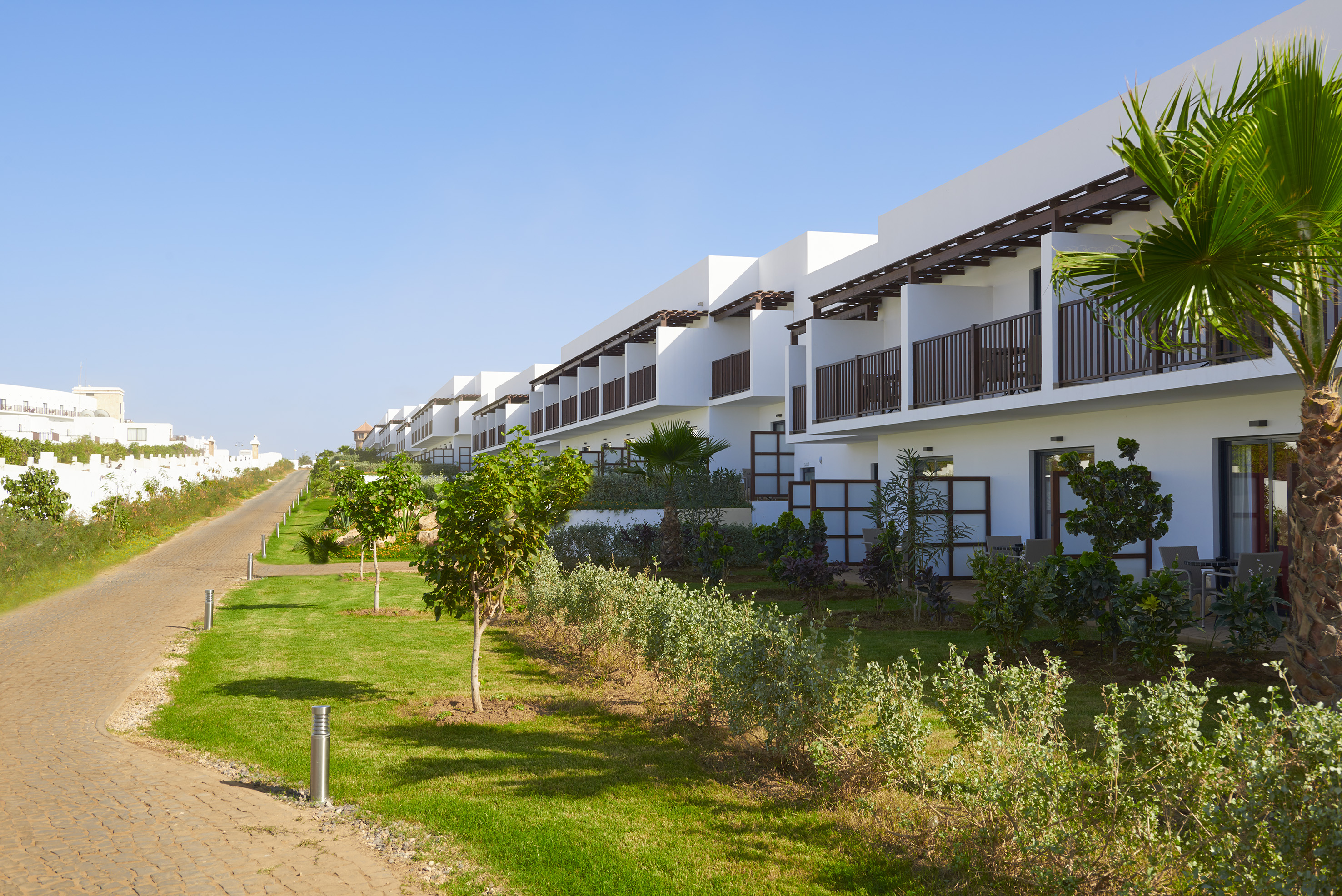 a row of white buildings with trees and grass