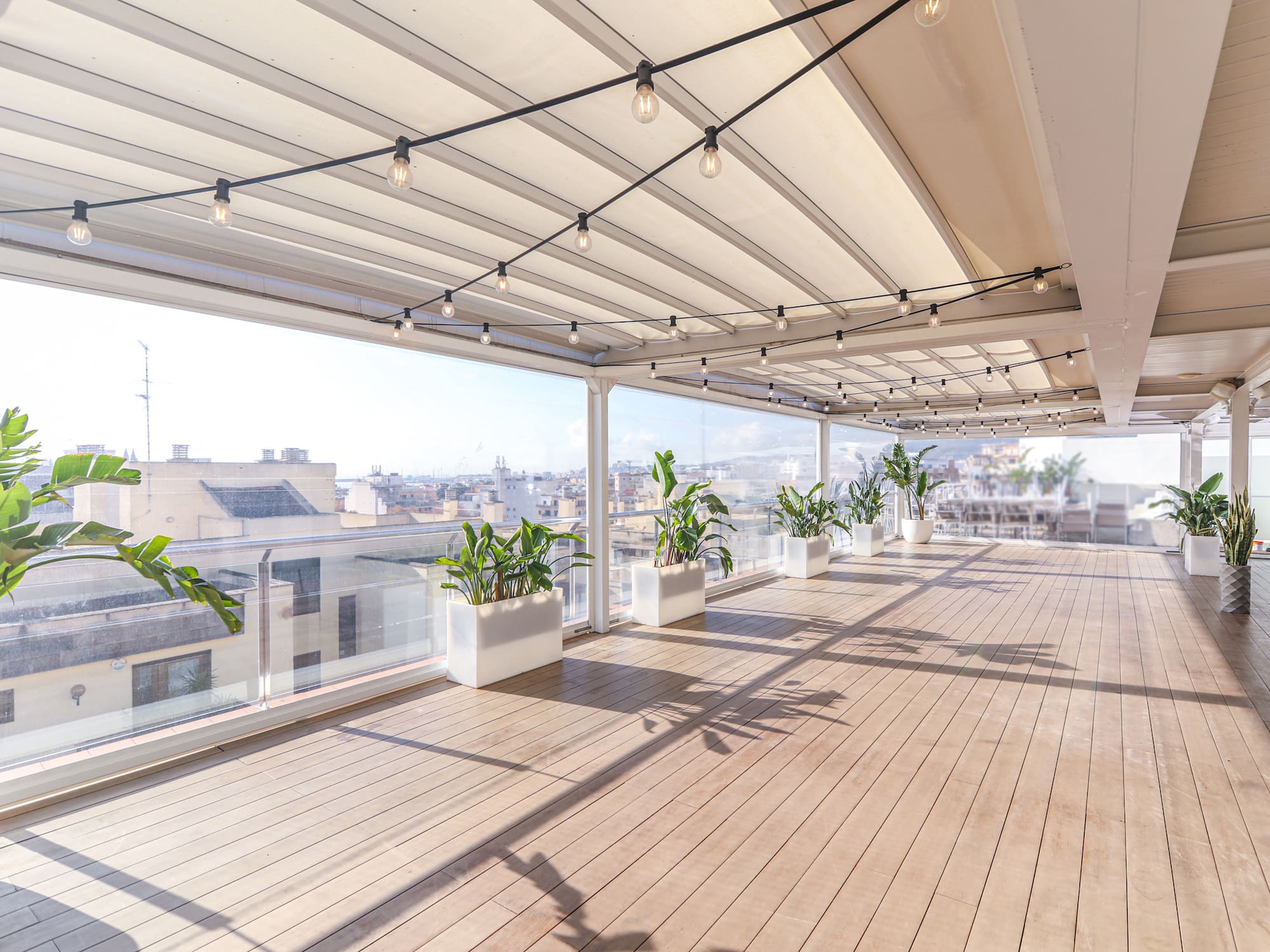 a deck with plants on it