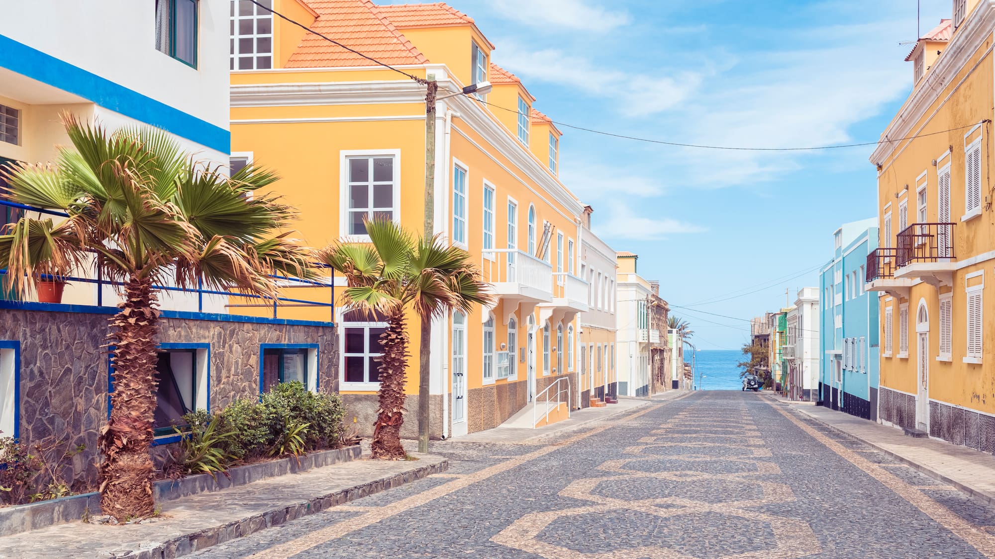 a street with buildings and palm trees