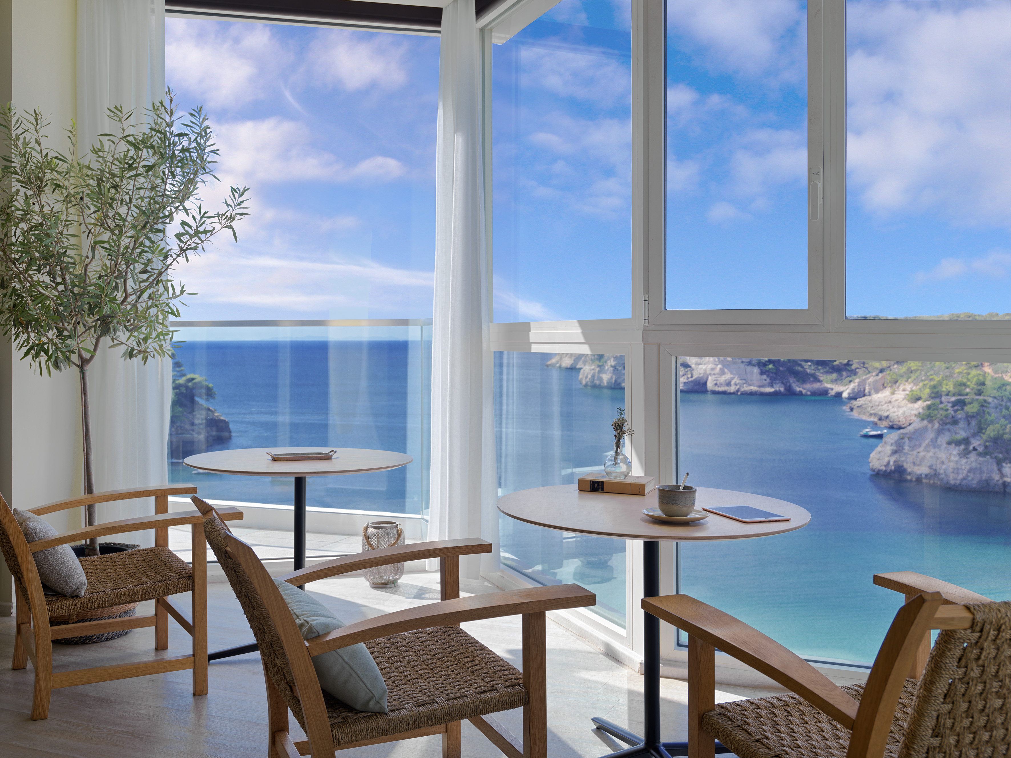 Bright room with bay view, wooden chairs, tables, and olive tree.