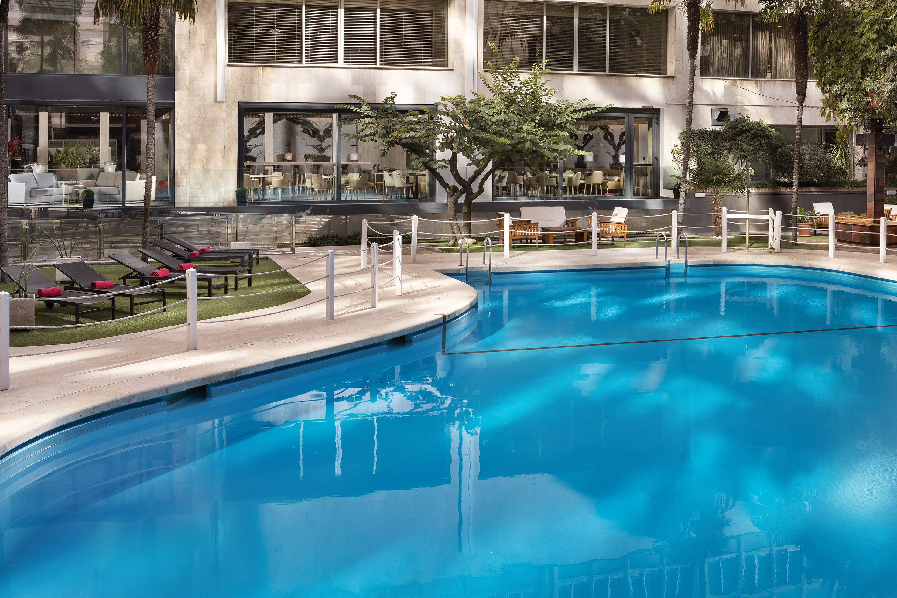 Hotel outdoor swimming pool, sun loungers, palm trees, and modern building.