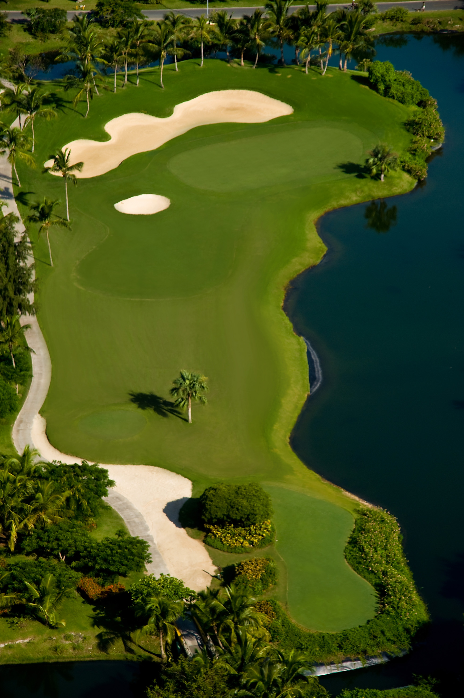 Aerial tropical golf course with lush greens, sand bunkers, palm trees, water.