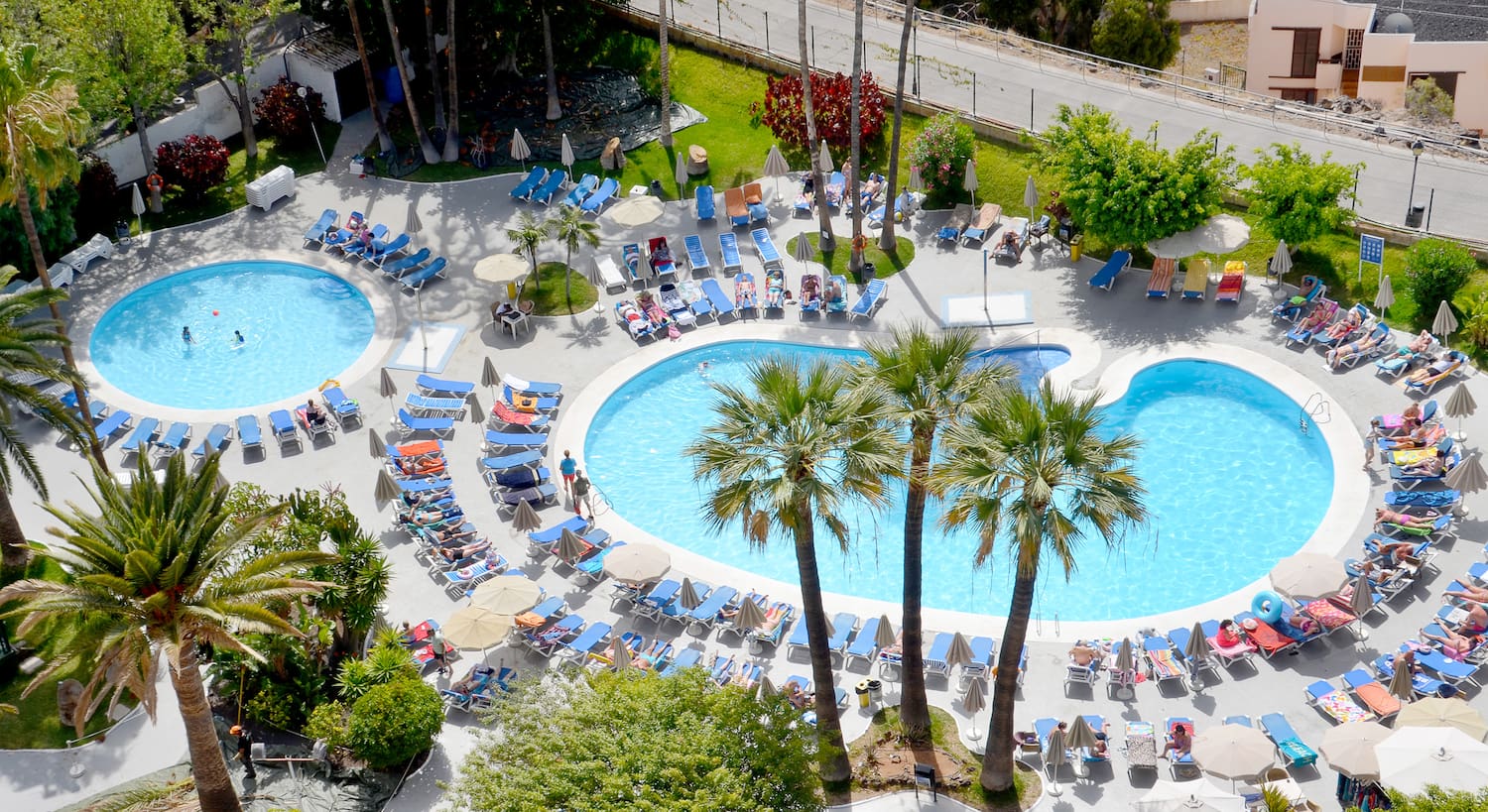 a pool with lounge chairs and palm trees