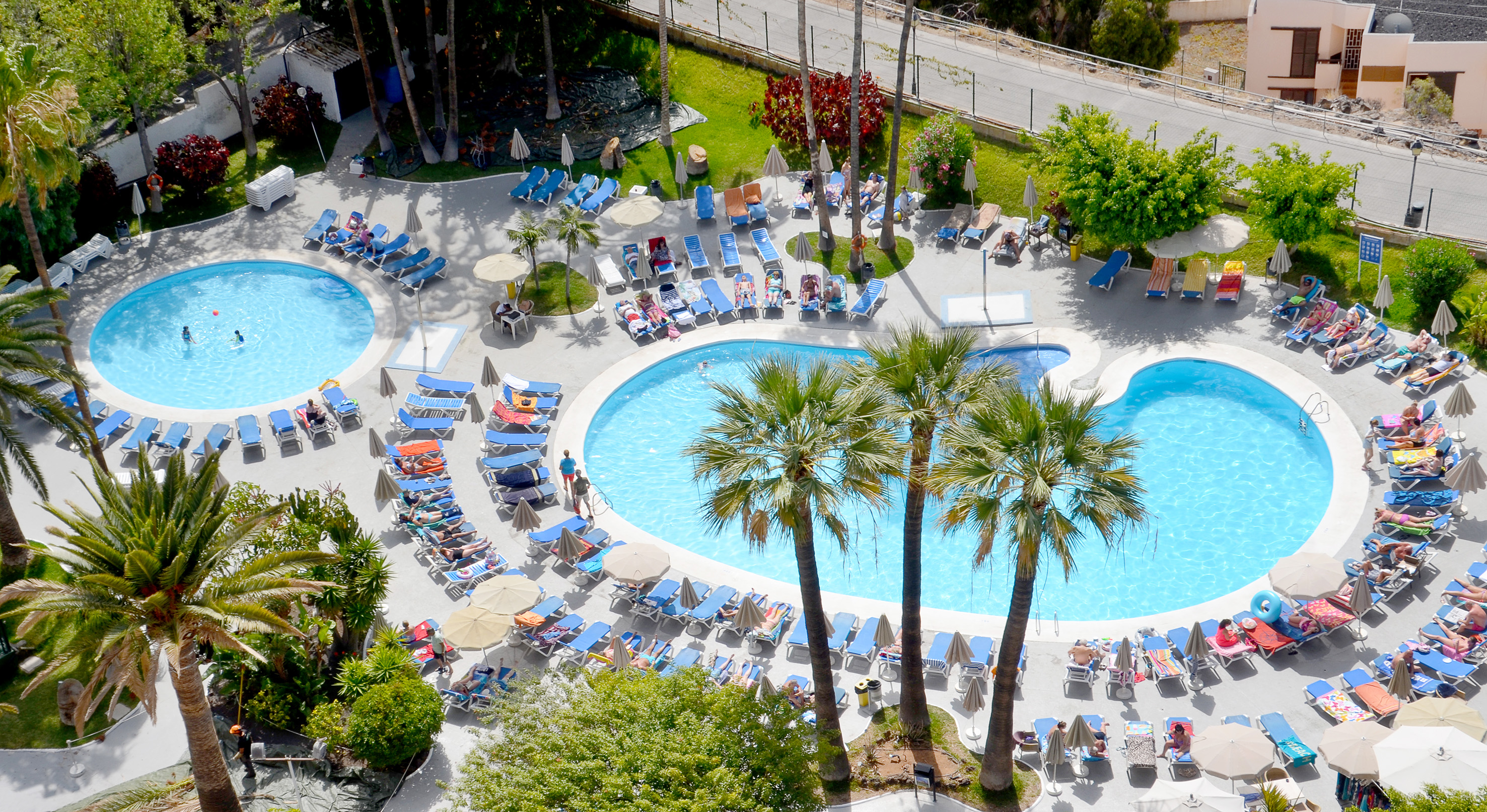 a pool with lounge chairs and palm trees