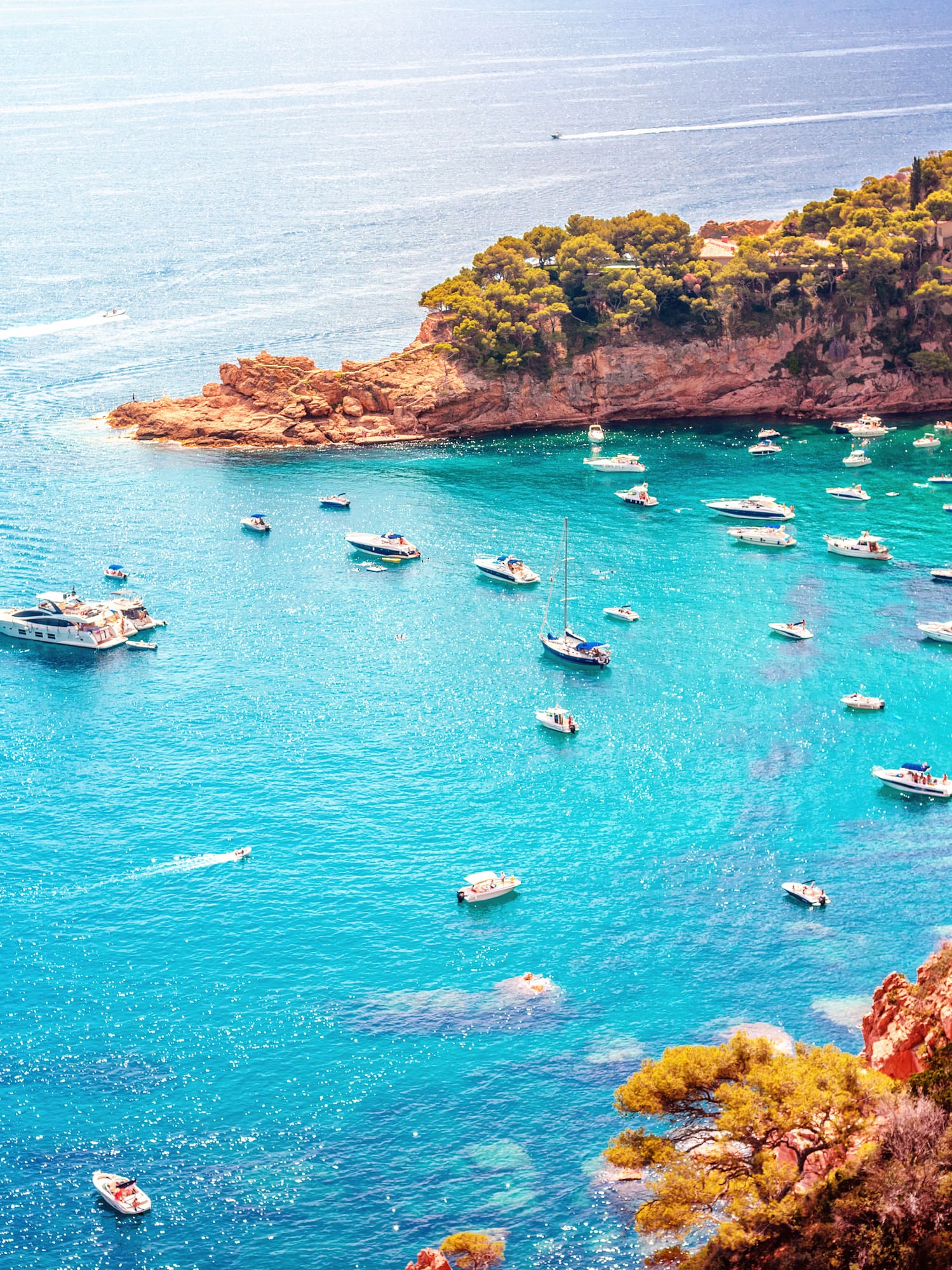 boats in a bay with boats and trees