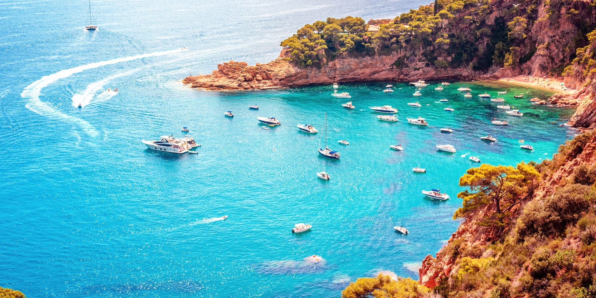 boats in a bay with boats and trees