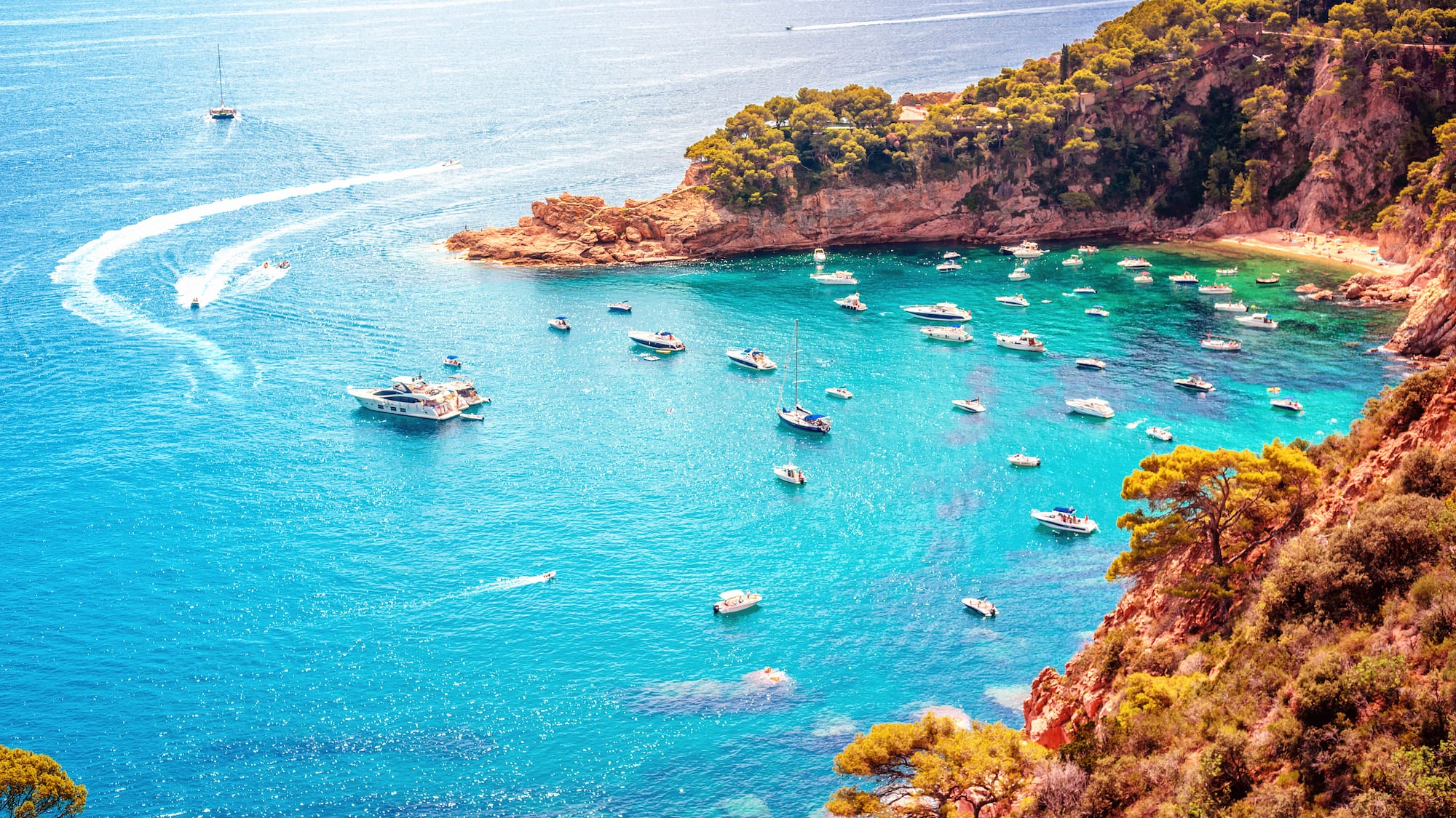 boats in a bay with boats and trees