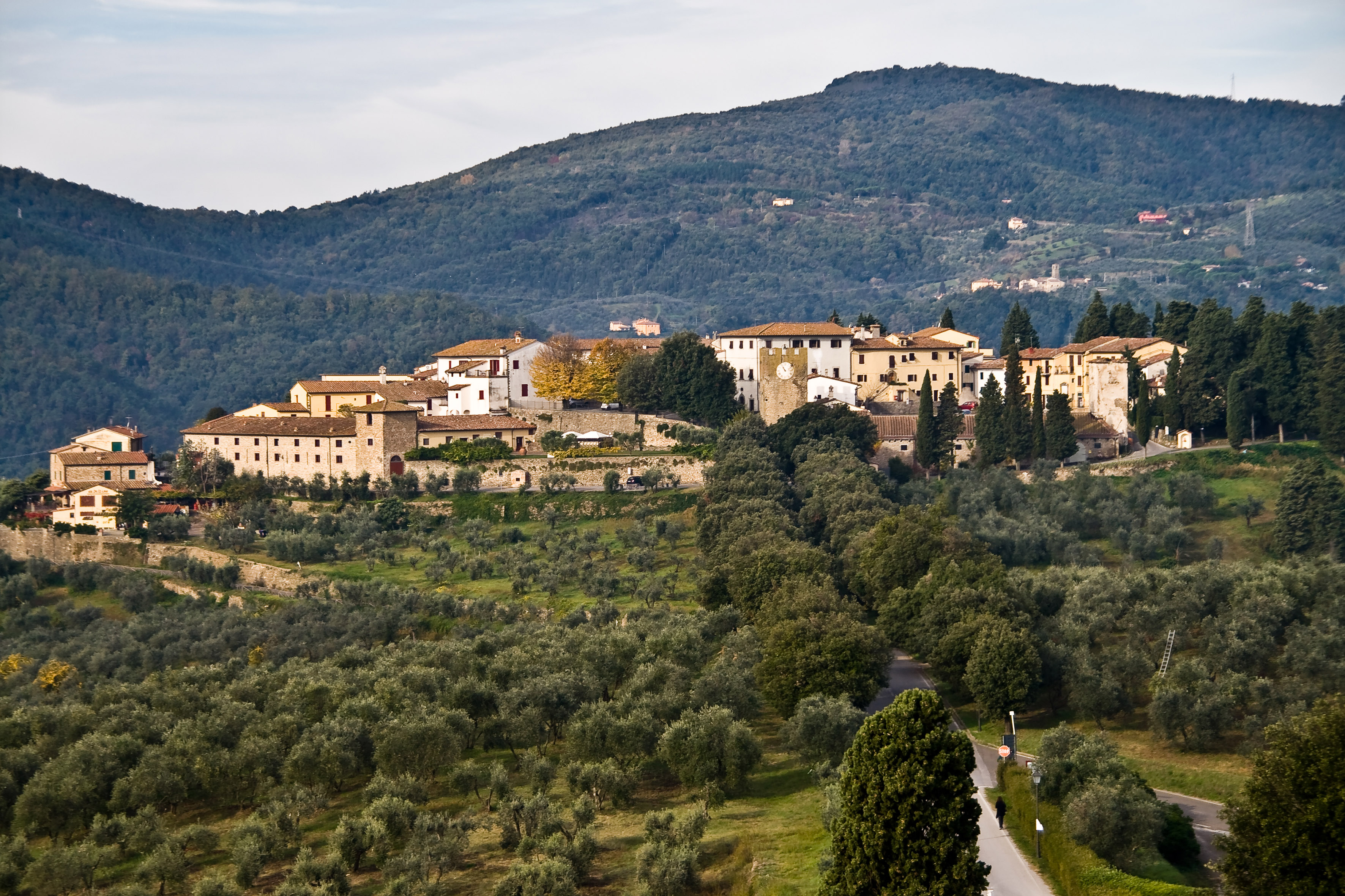 Tuscan village overlooking olive groves and wooded hills.