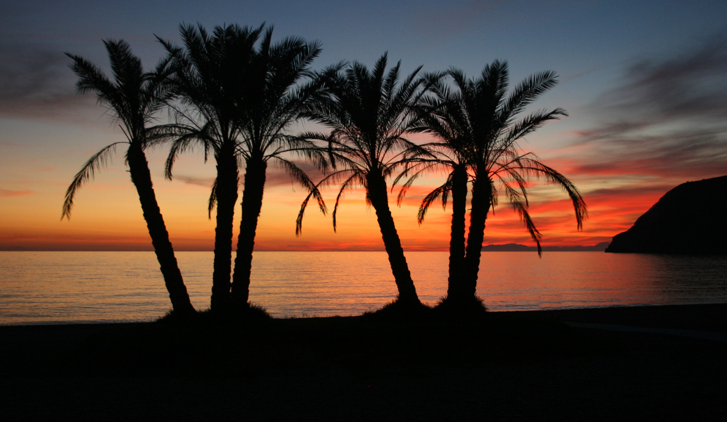 Silhouetted palm trees and mountain against vibrant orange ocean sunset.