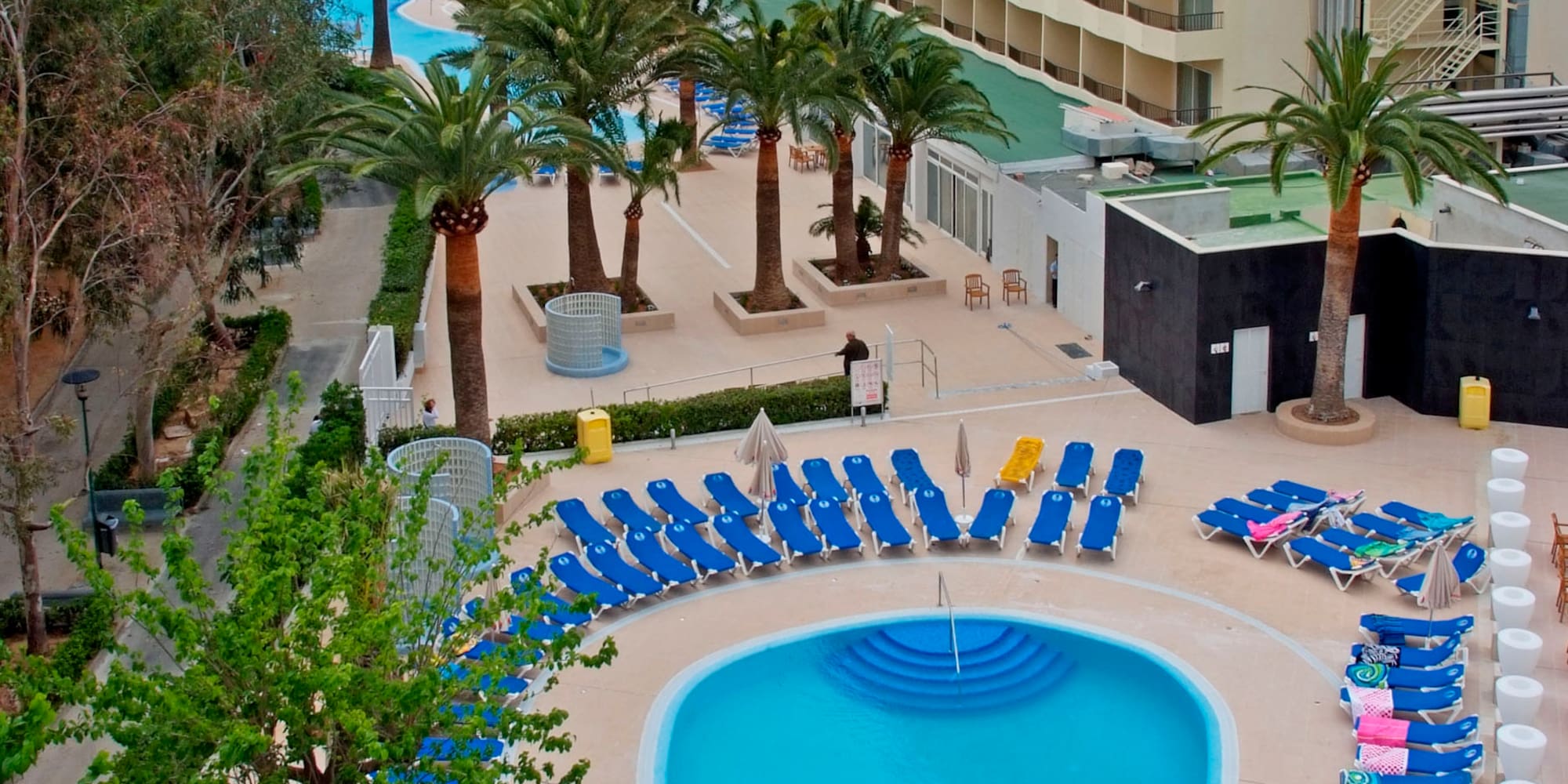 a pool with blue chairs and palm trees