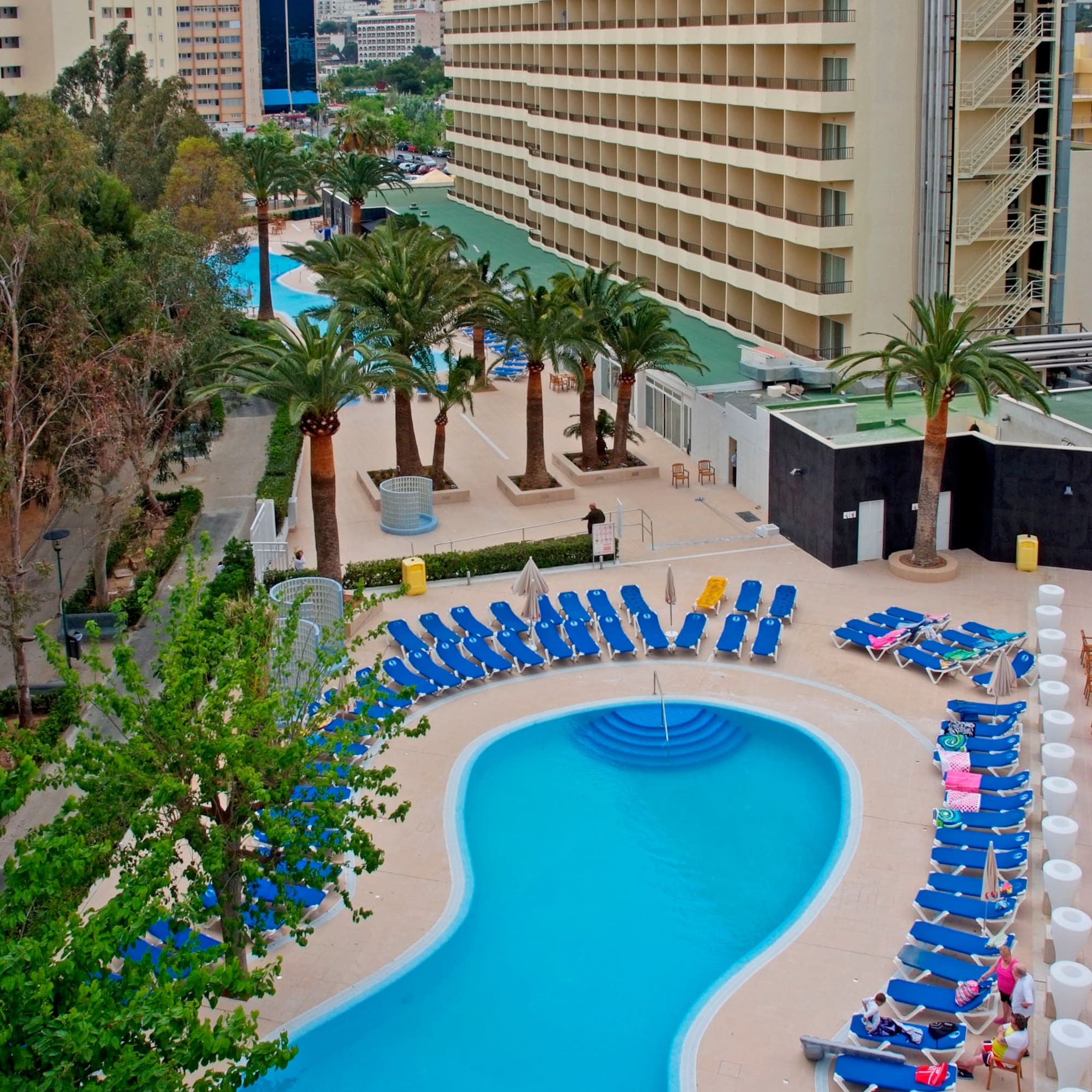 a pool with blue chairs and palm trees